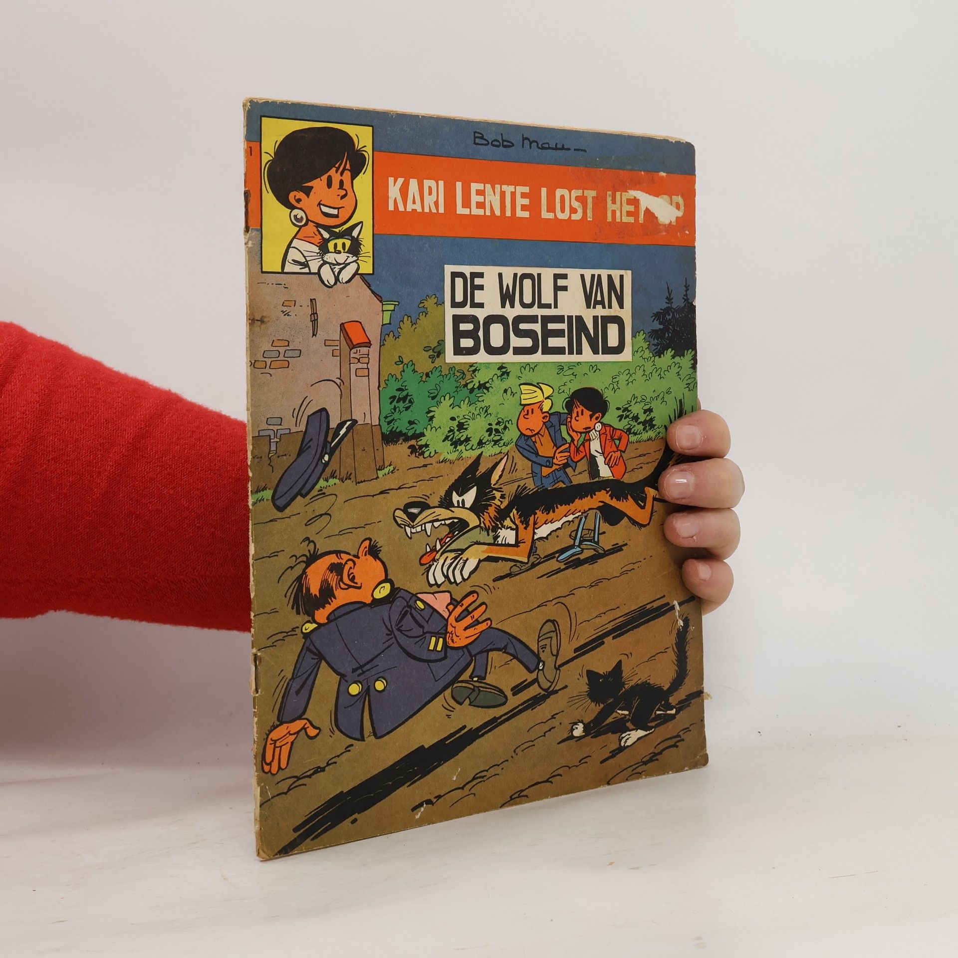 Collectif d'auteurs De Wolf van Boseind