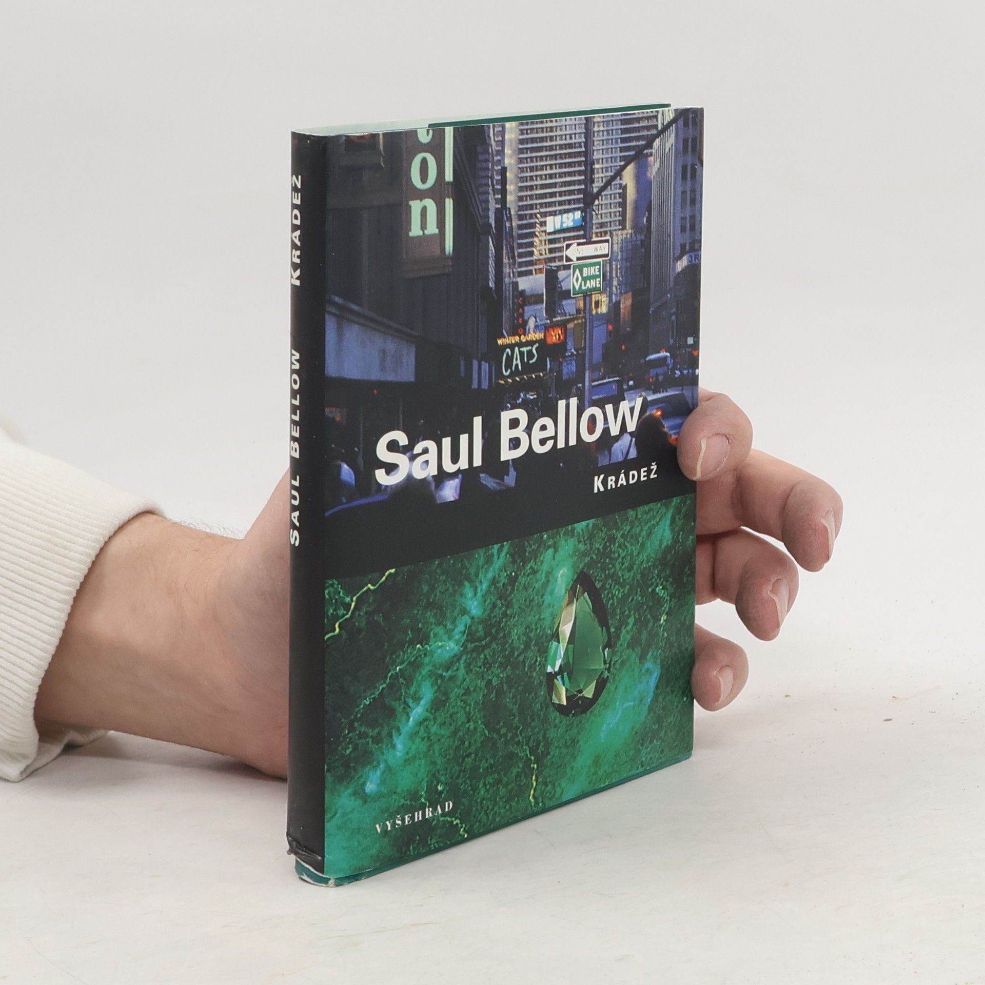 Saul Bellow Krádež