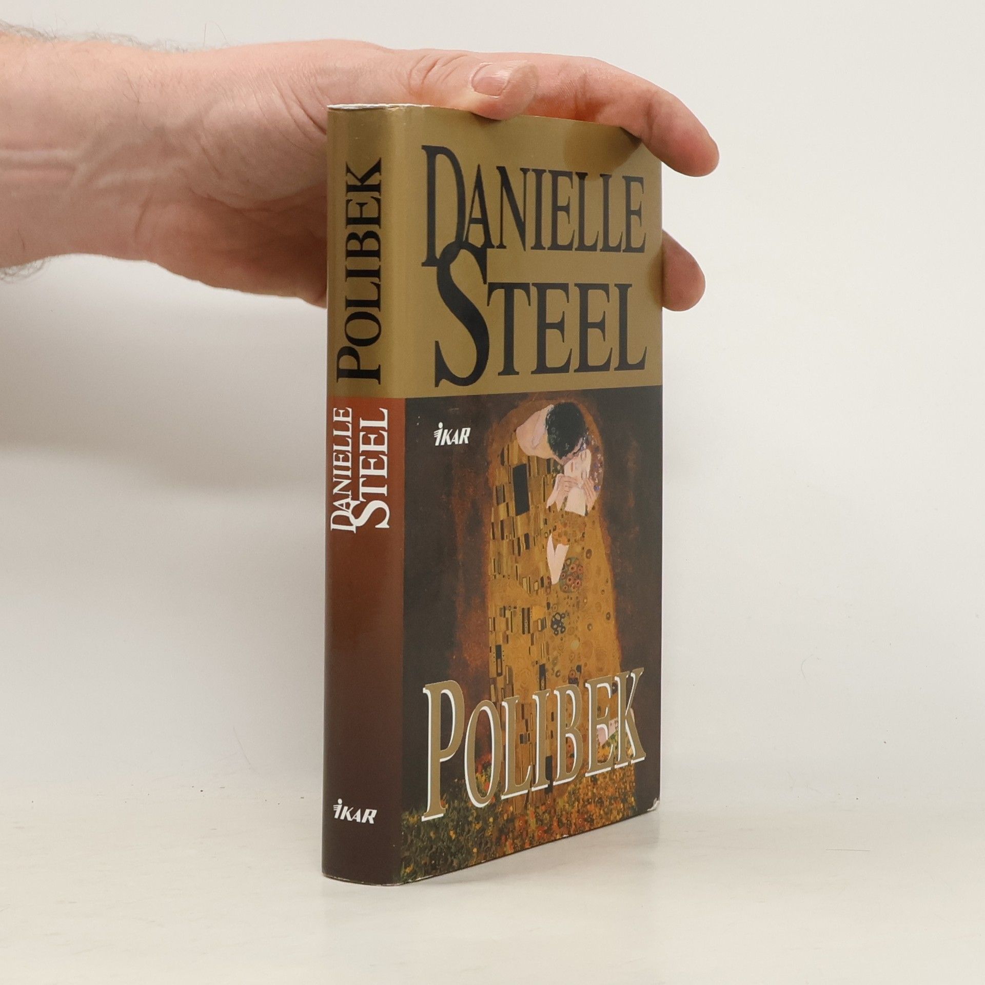 Danielle Steel Polibek