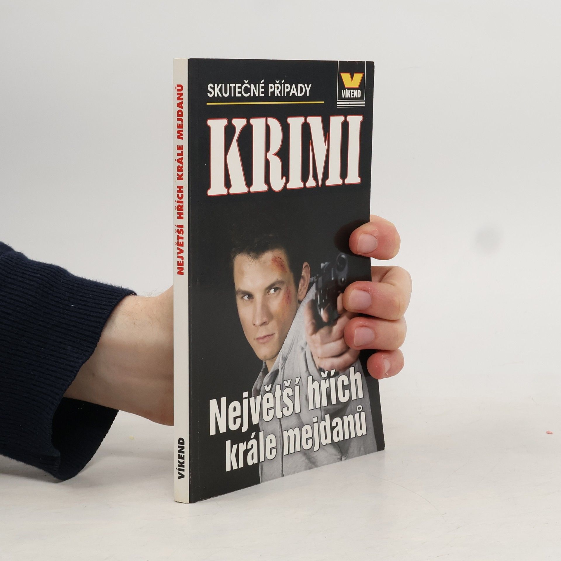 Kolektiv autorů Největší hřích krále mejdanů