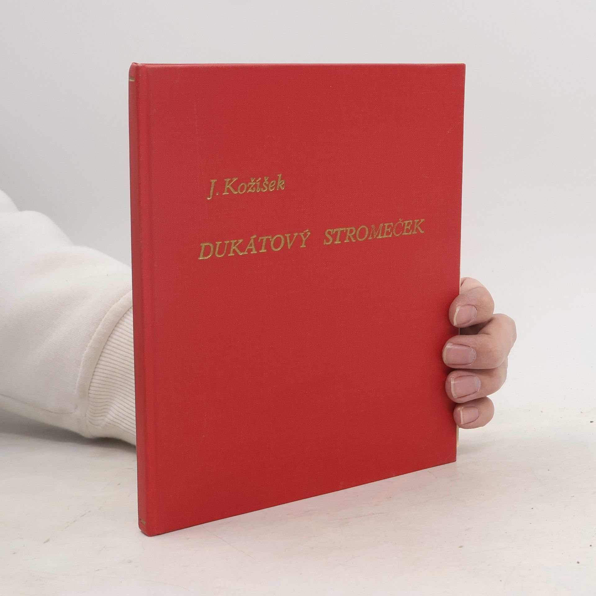 Dukátový stromeček a jiné pohádky