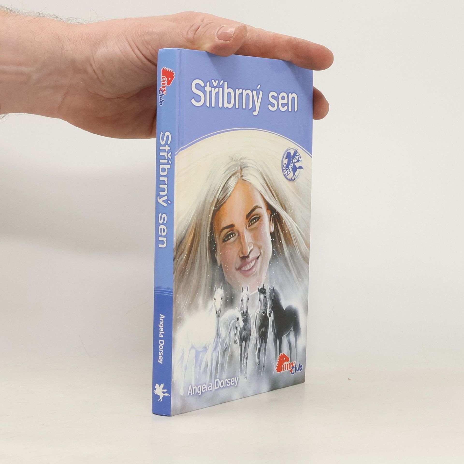 Angela Dorsey Stříbrný sen