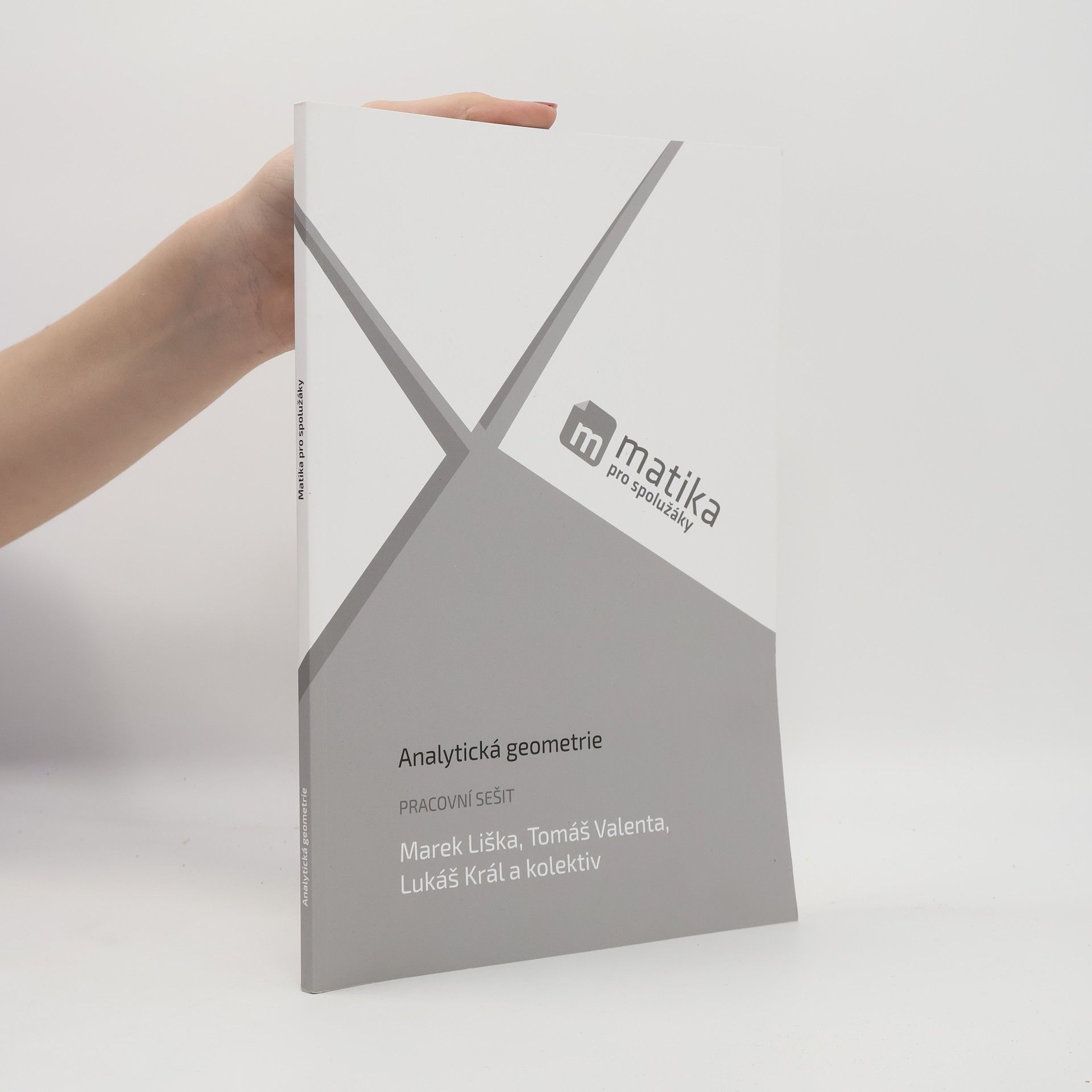Matika pro spolužáky. Analytická geometrie : pracovní sešit
