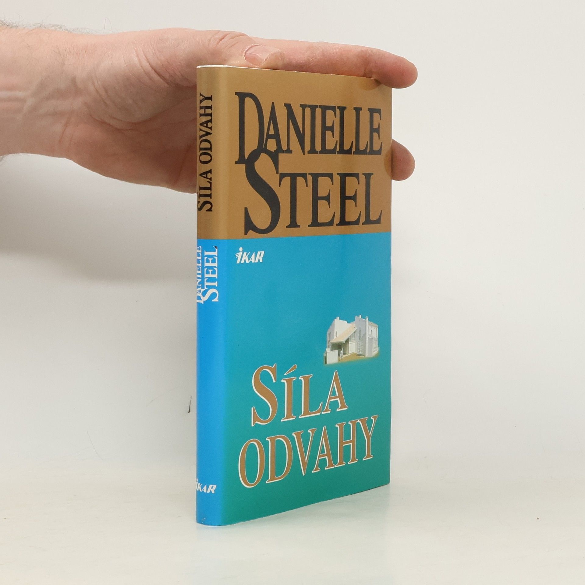 Danielle Steel Síla odvahy