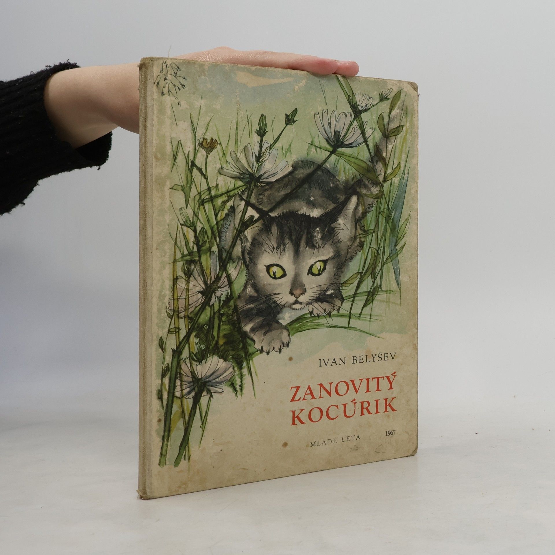 Ivan Belyšev Tvrdohlavý kocourek