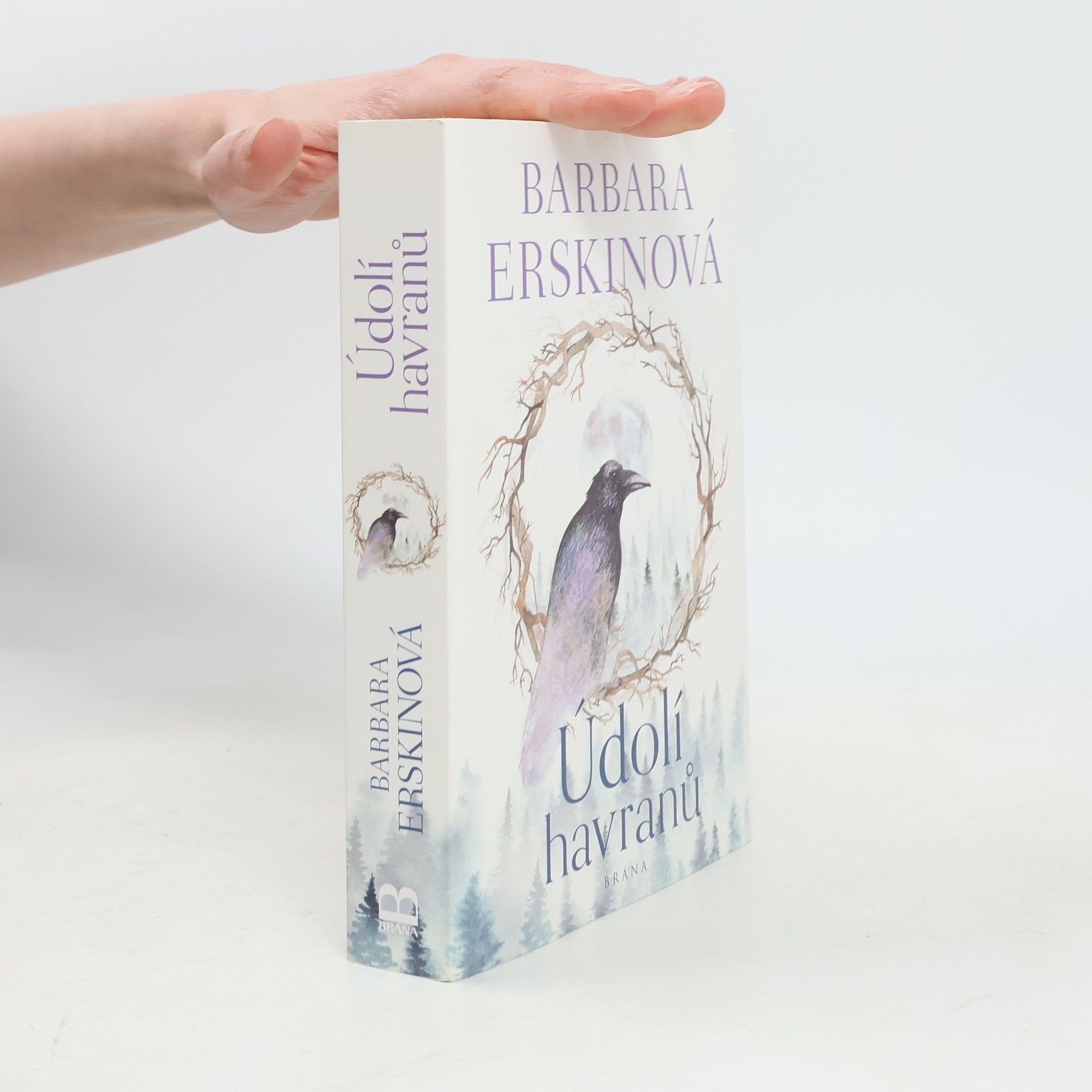 Barbara Erskine Údolí havranů