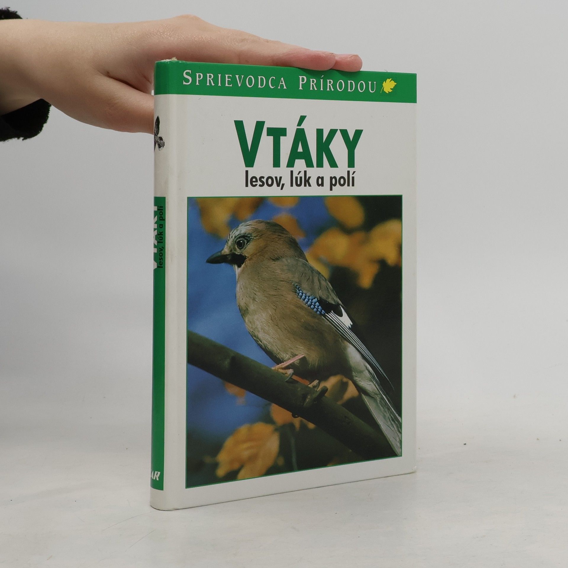 Sauer Frieder Vtáky lesov, lúk a polí