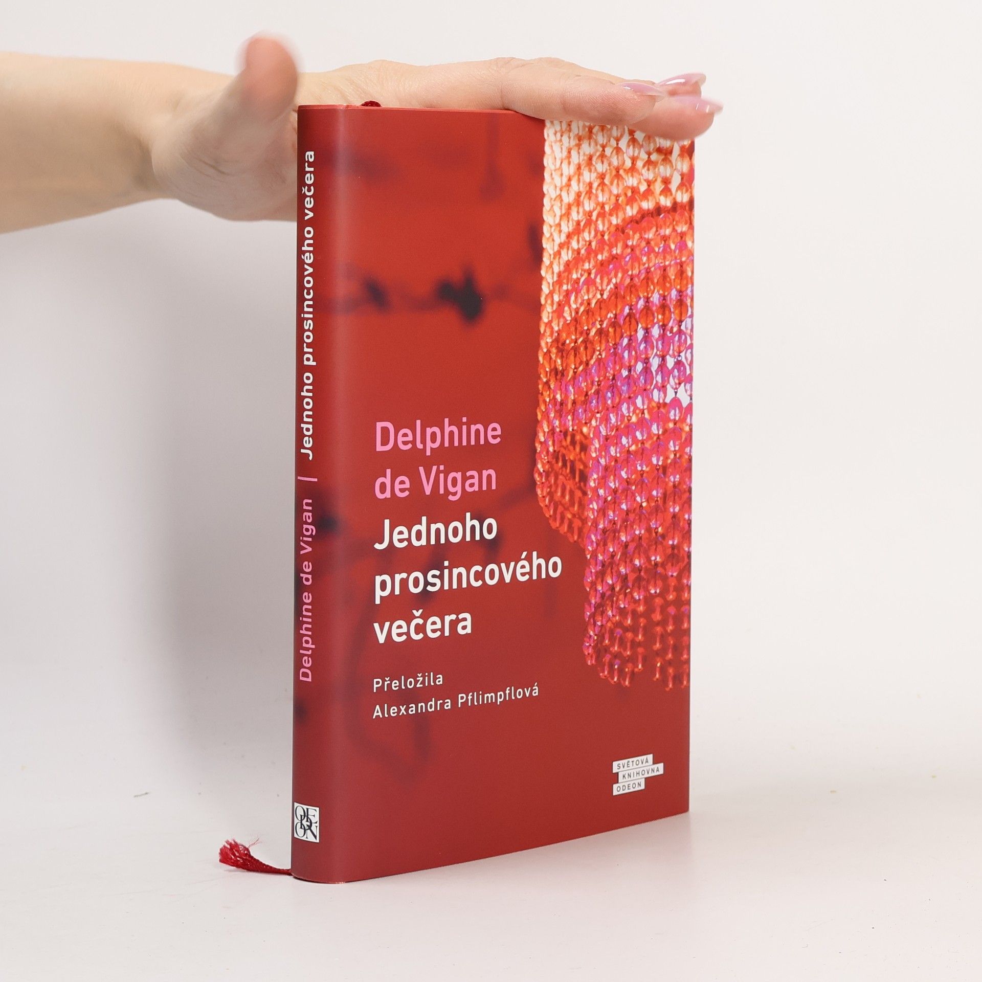 Delphine de Vigan Jednoho prosincového večera