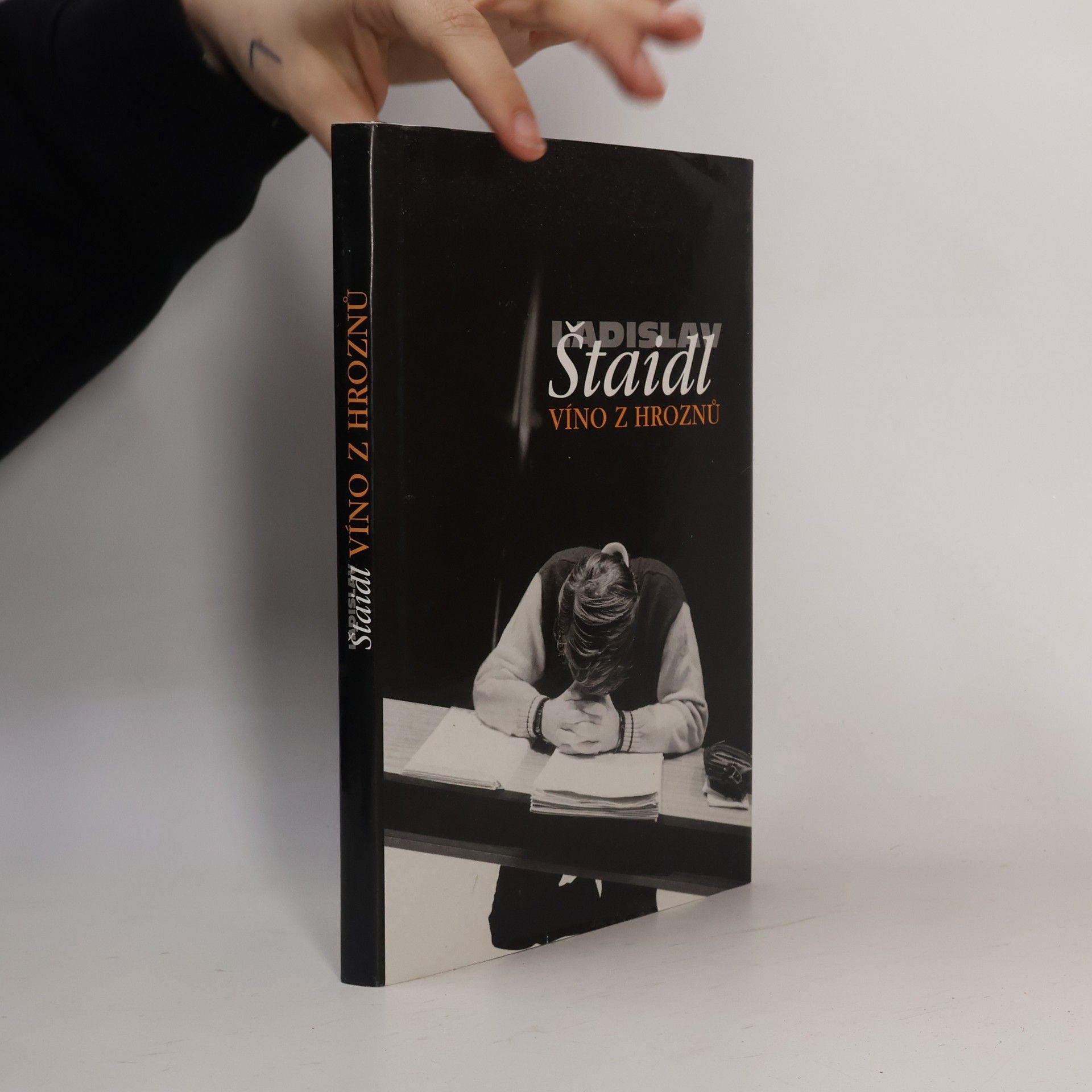 Ladislav Štaidl Víno z hroznů