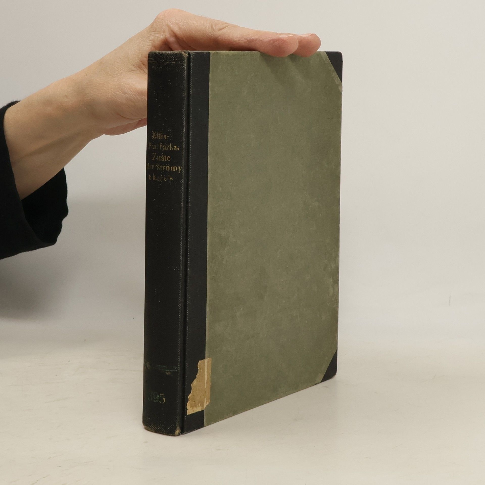 Znáte naše stromy a keře?