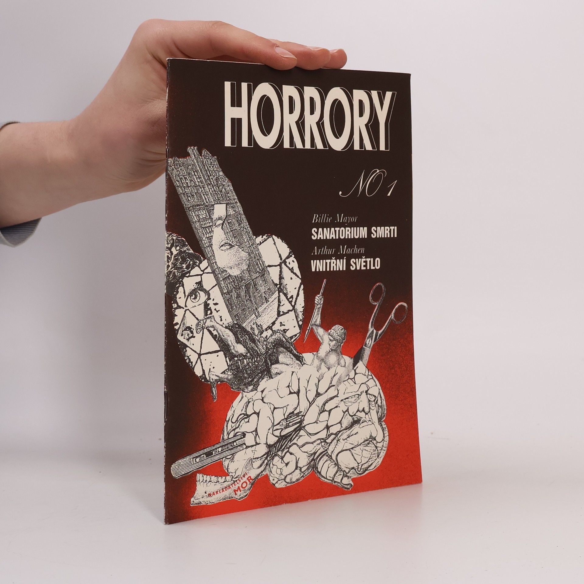 Horrory No.1. Sanatorium smrti, Vnitřní světlo