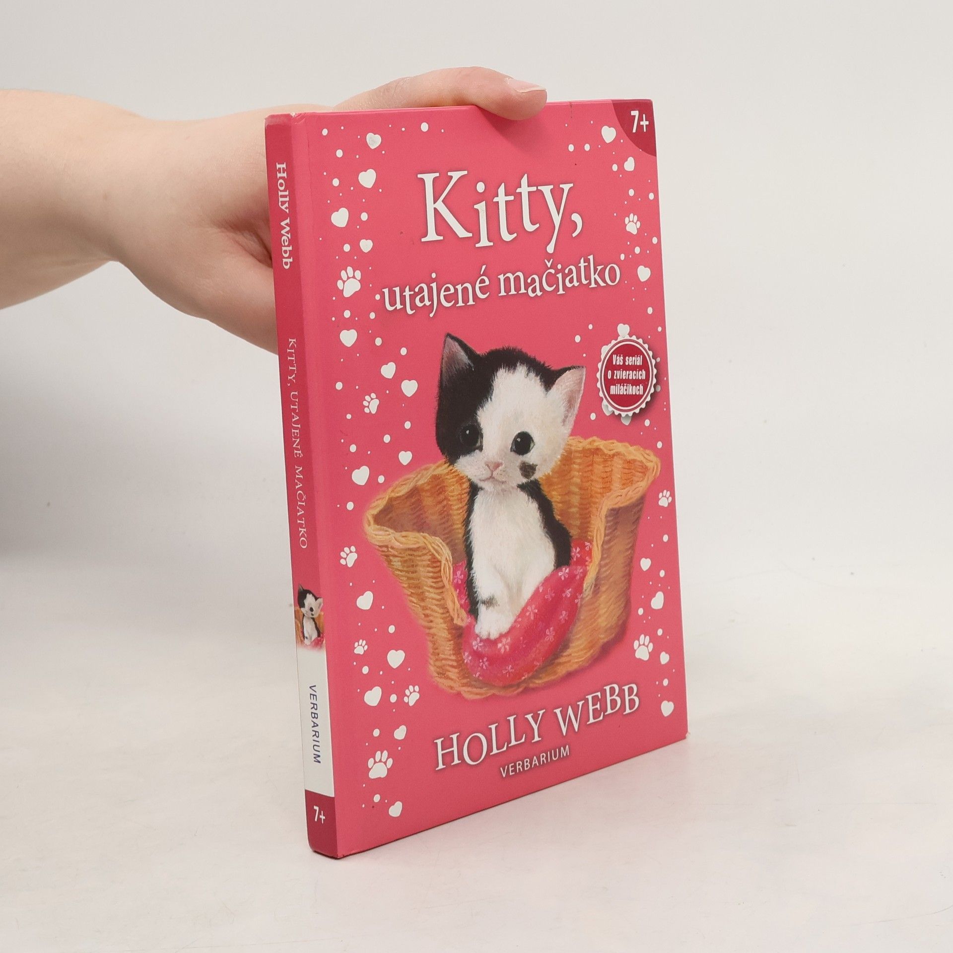 Holly Webb Kitty, utajené mačiatko