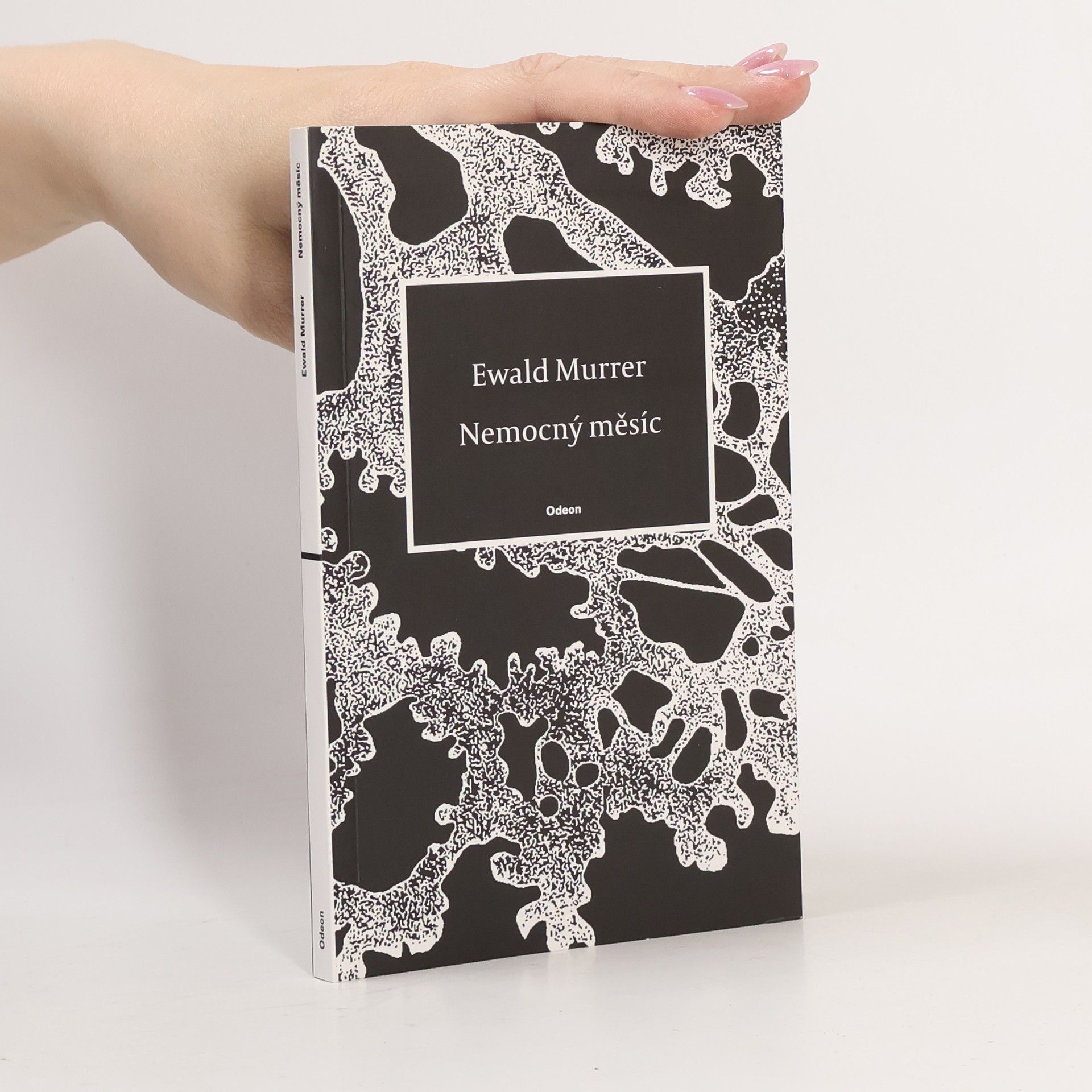 Ewald Murrer Nemocný měsíc