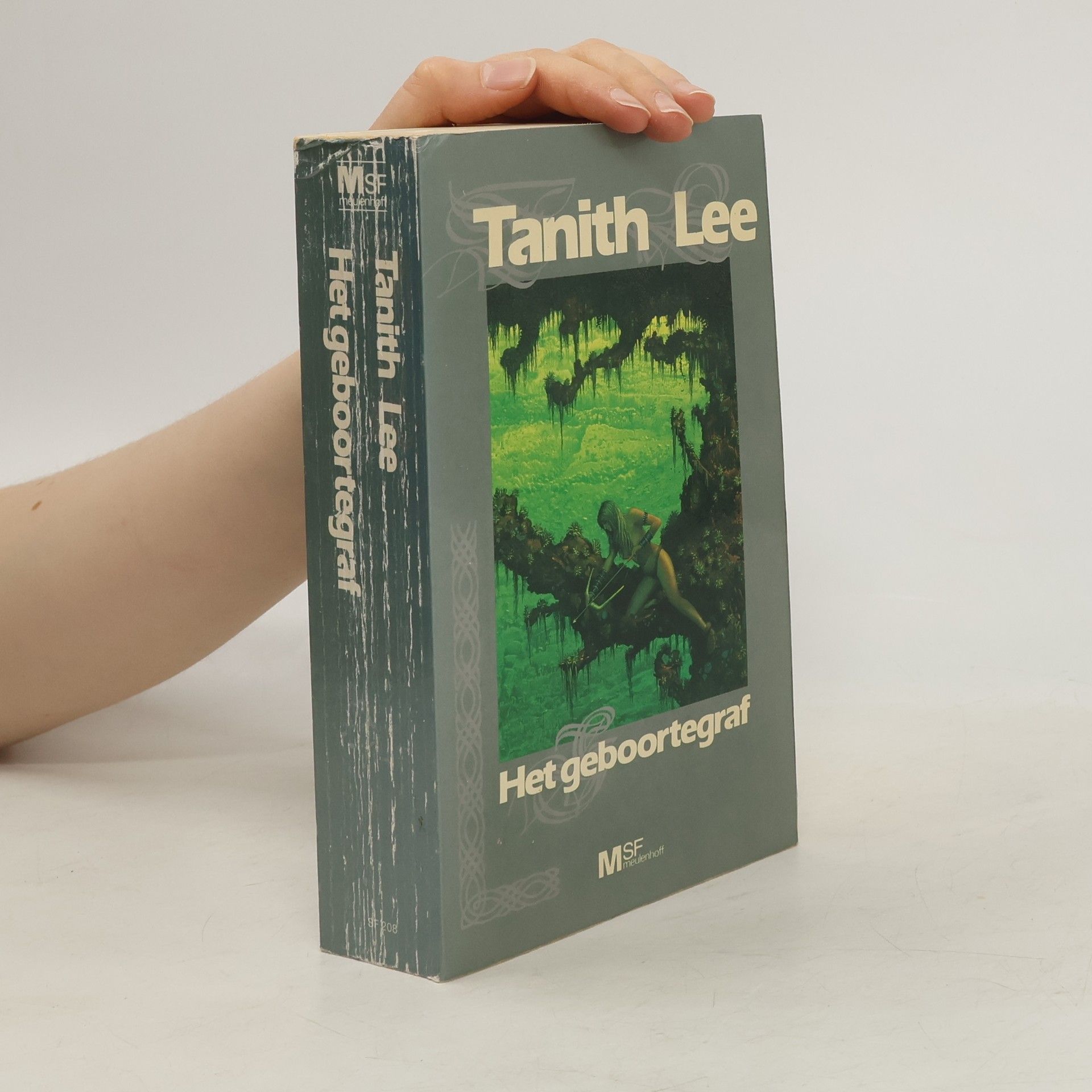 Tanith Lee Het geboortegraf