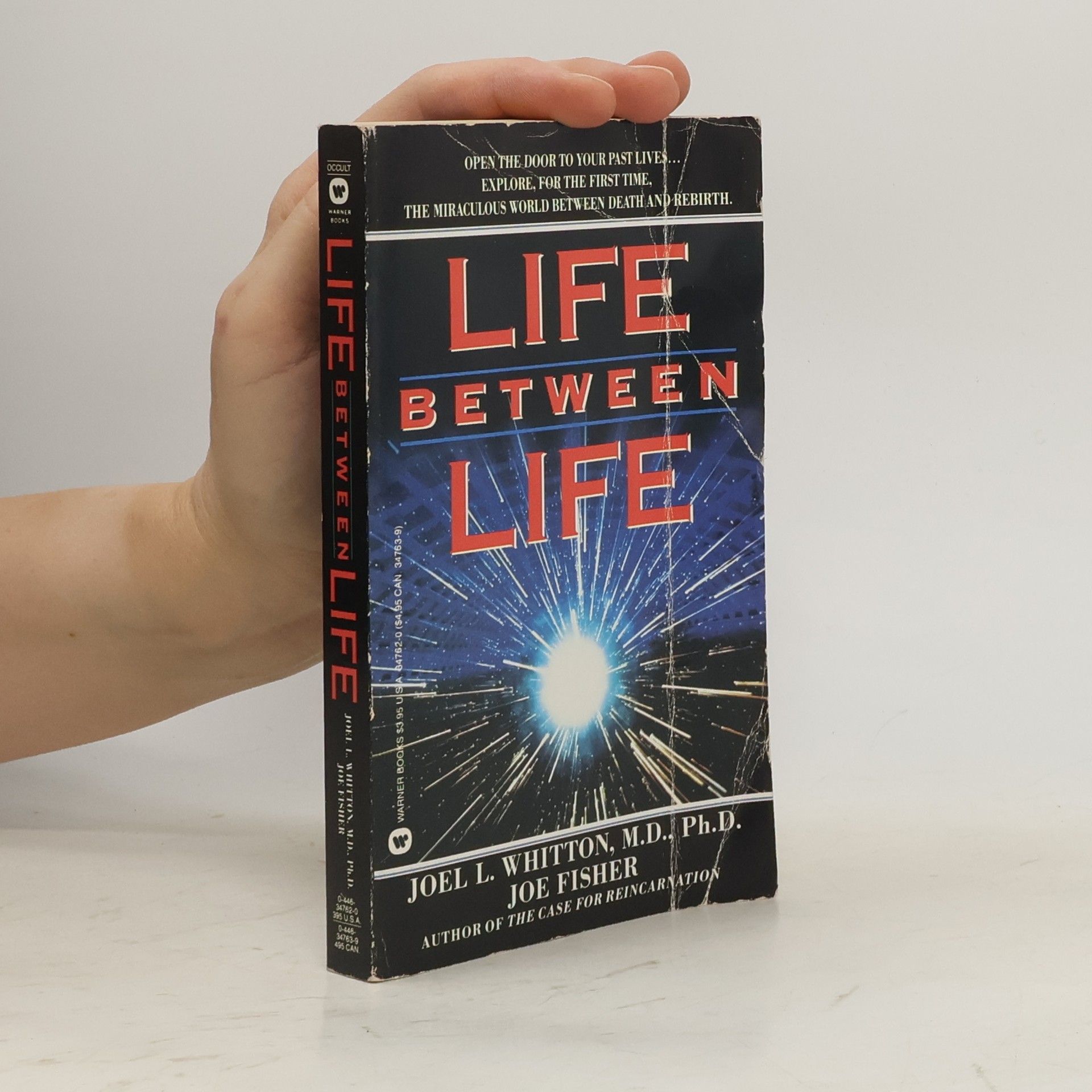 Joel L. Whitton Life Between Life