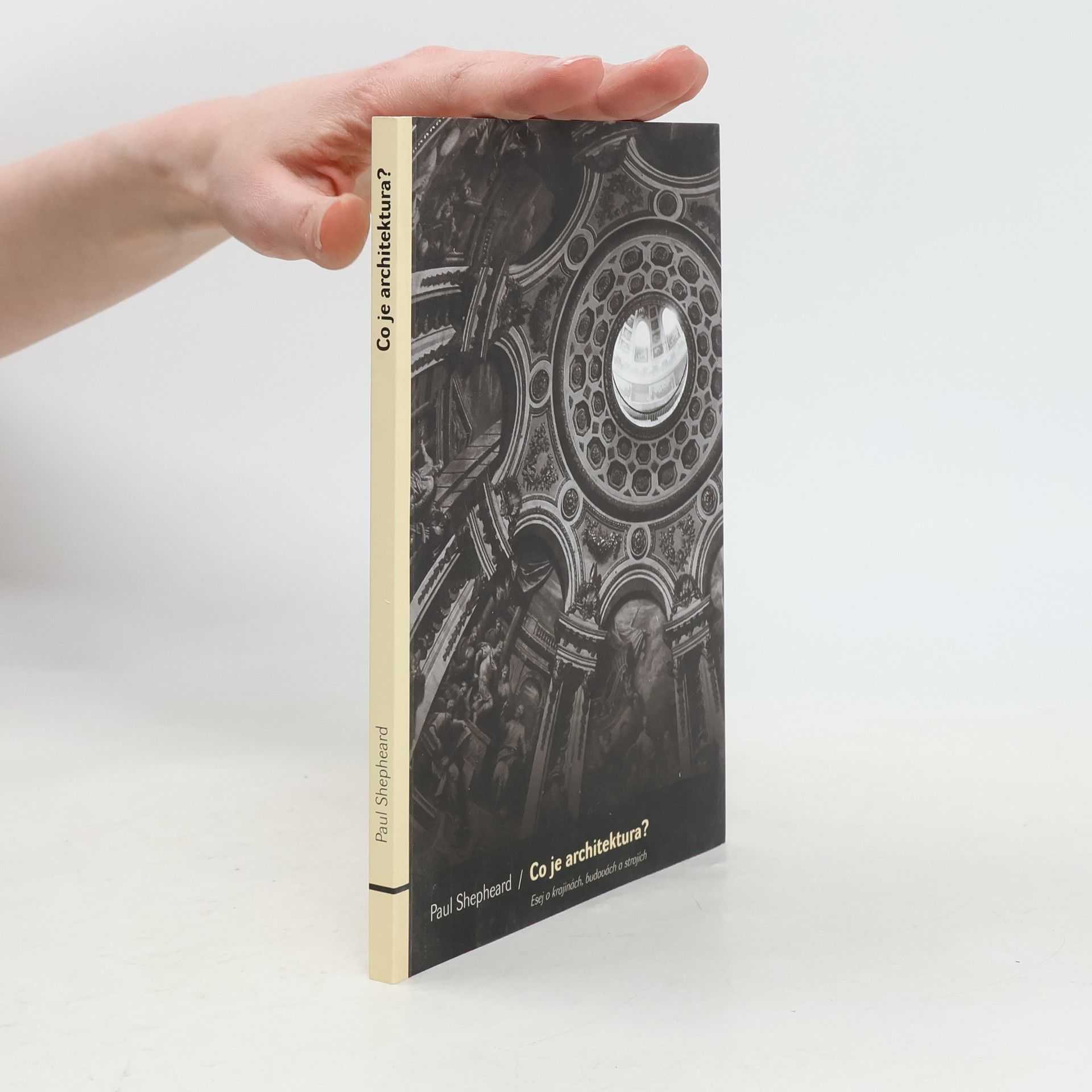 Paul Shepheard Co je architektura?