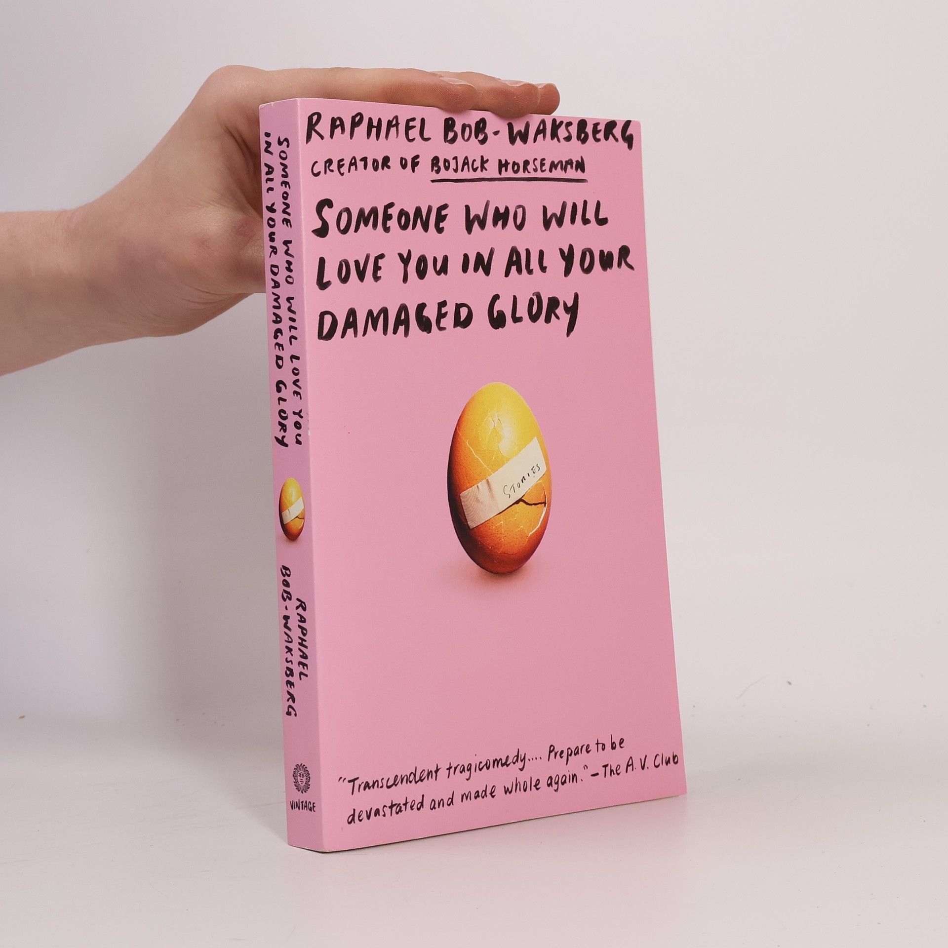 Raphael Bob Waksberg Someone Who Will Love You in All Your Damaged Glory