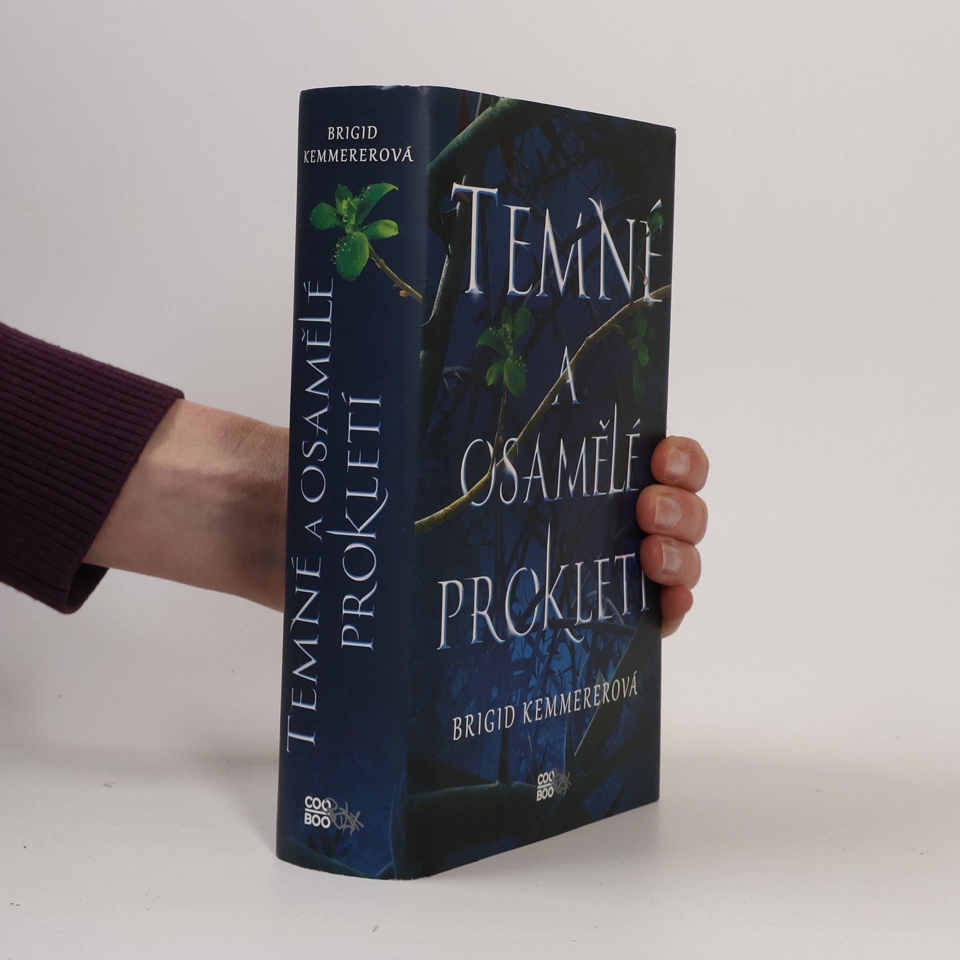 Brigid Kemmerer Temné a osamělé prokletí