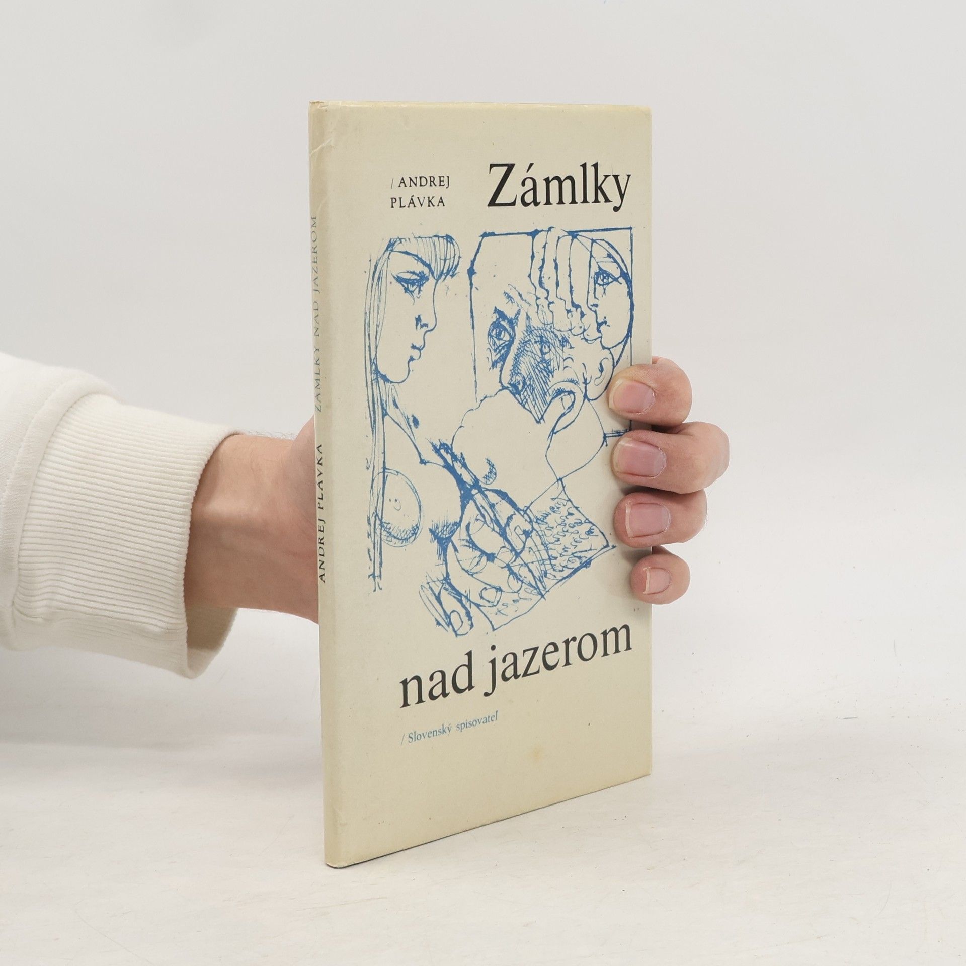 Andrej Plávka Zámlky nad jazerom
