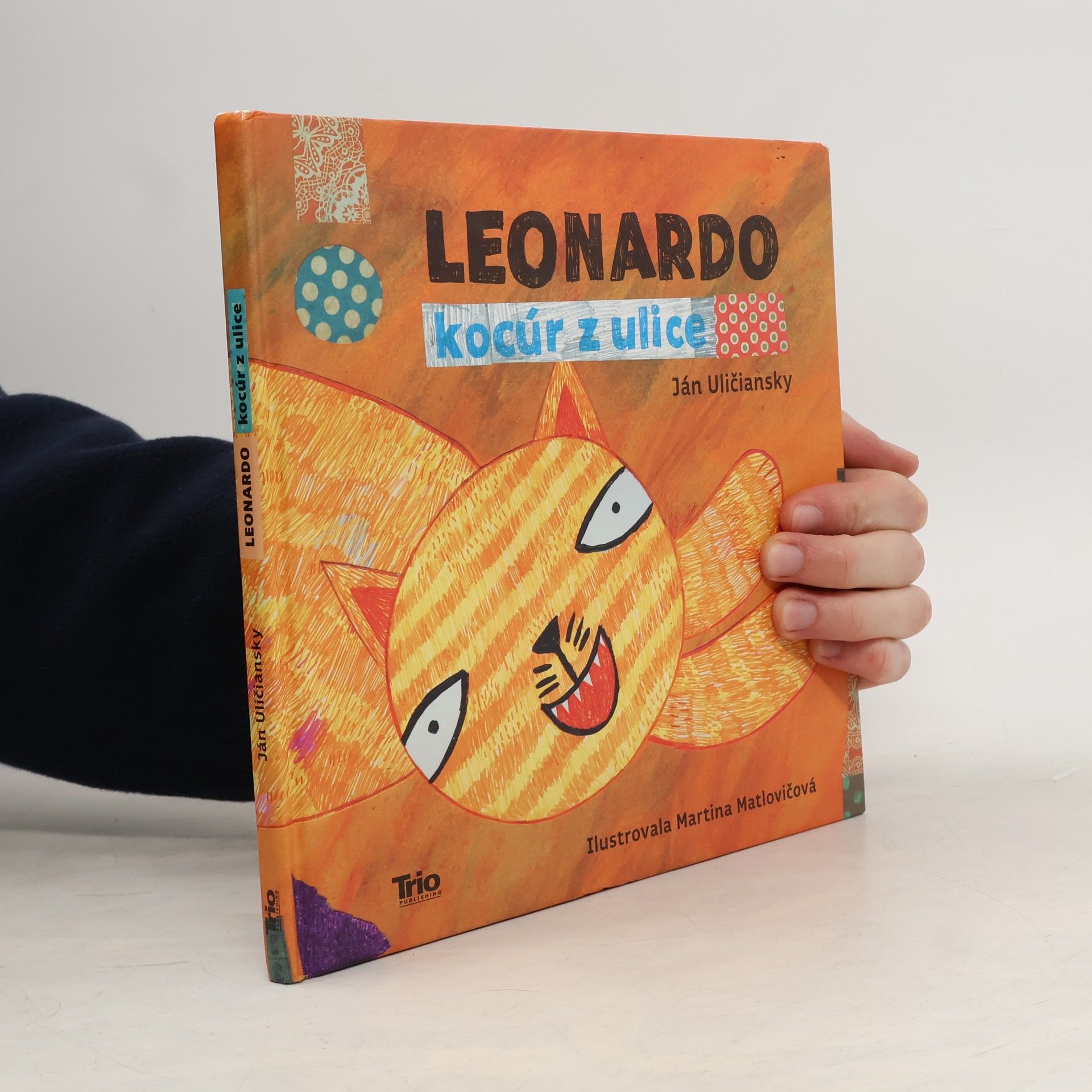 Ján Uličiansky Leonardo, kocúr z ulice