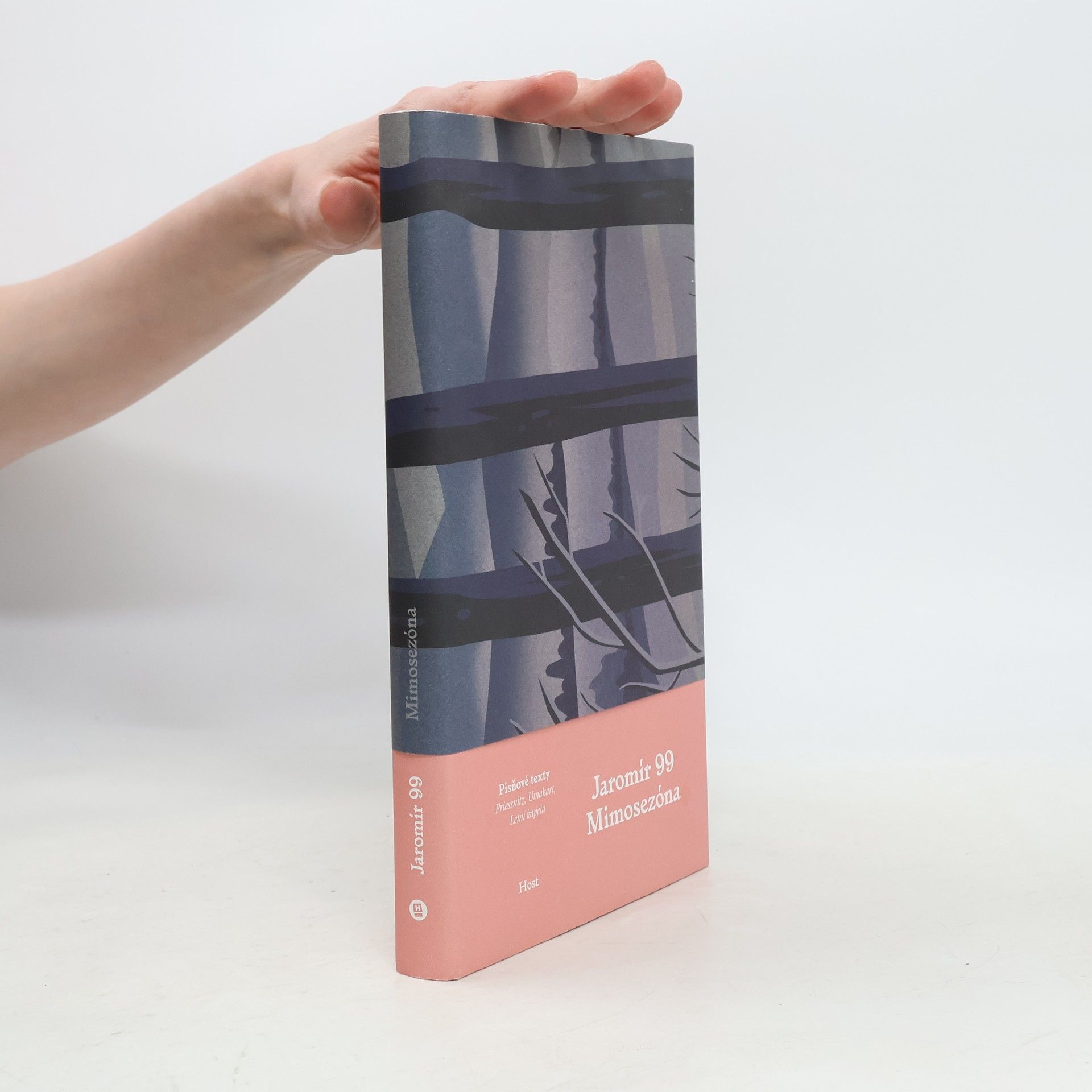 Jaromír Švejdík Mimosezóna