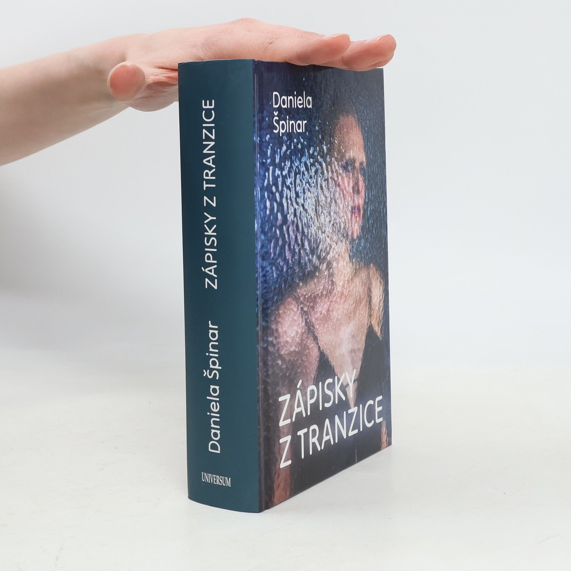 Daniela Špinar Zápisky z tranzice