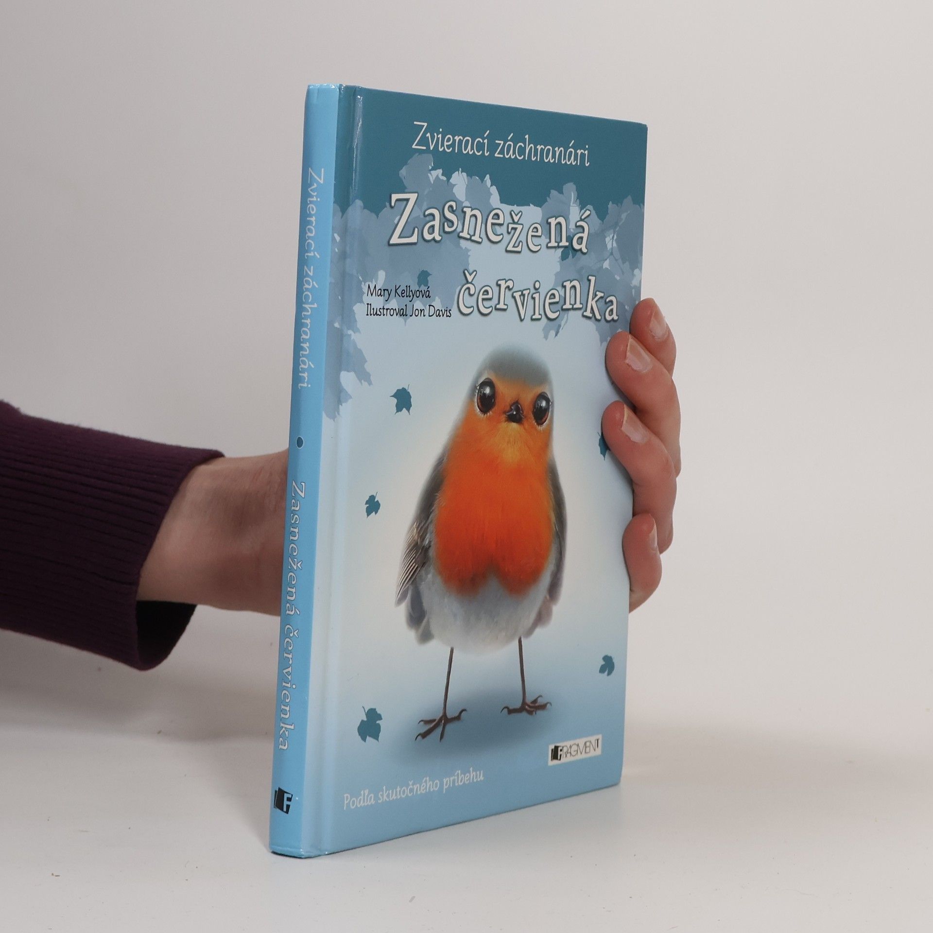 Mary Kelly Zasnežená červienka