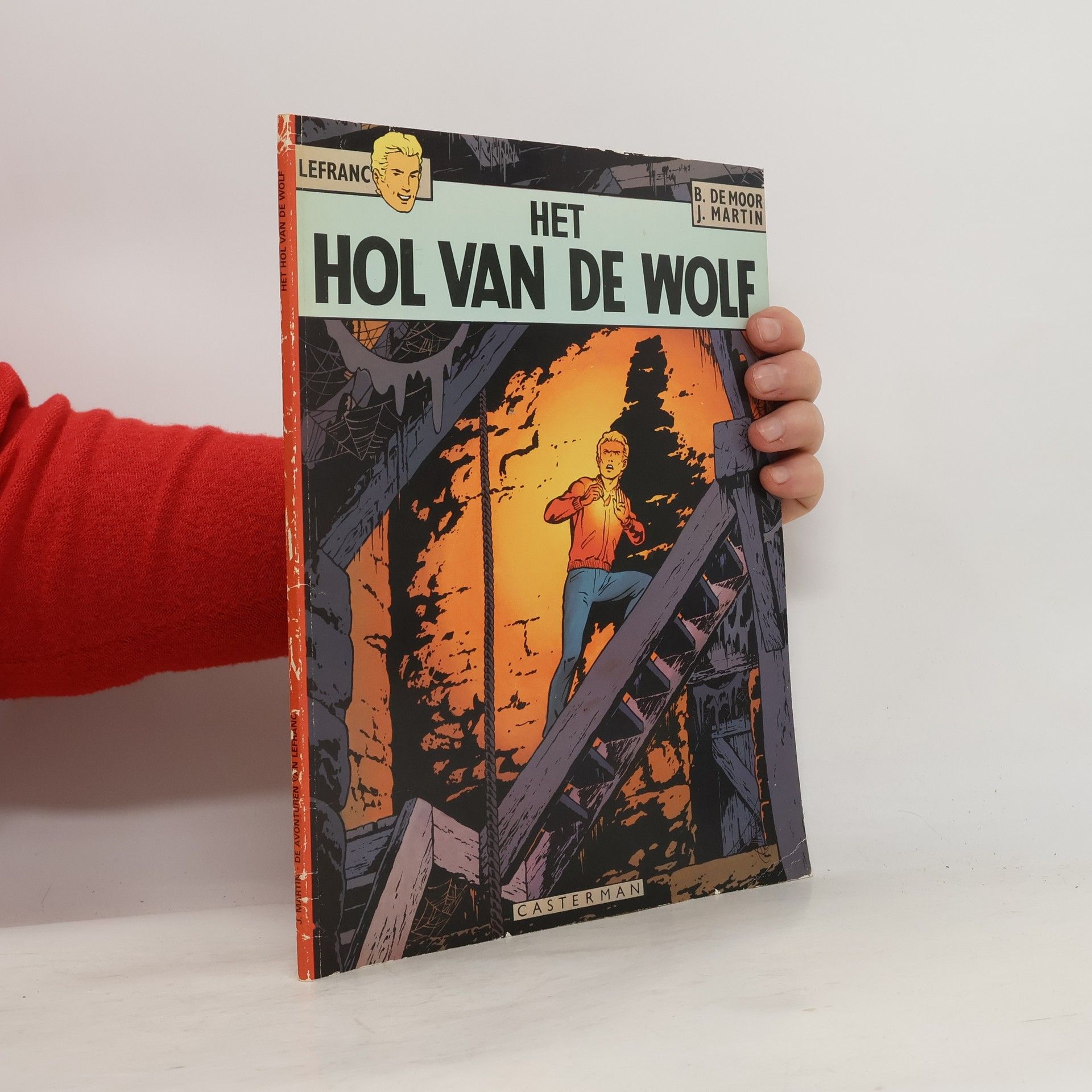 B. de Moor Het hol van de wolf