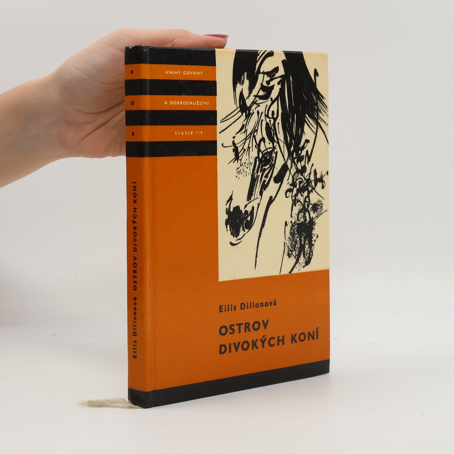 Ostrov divokých koní