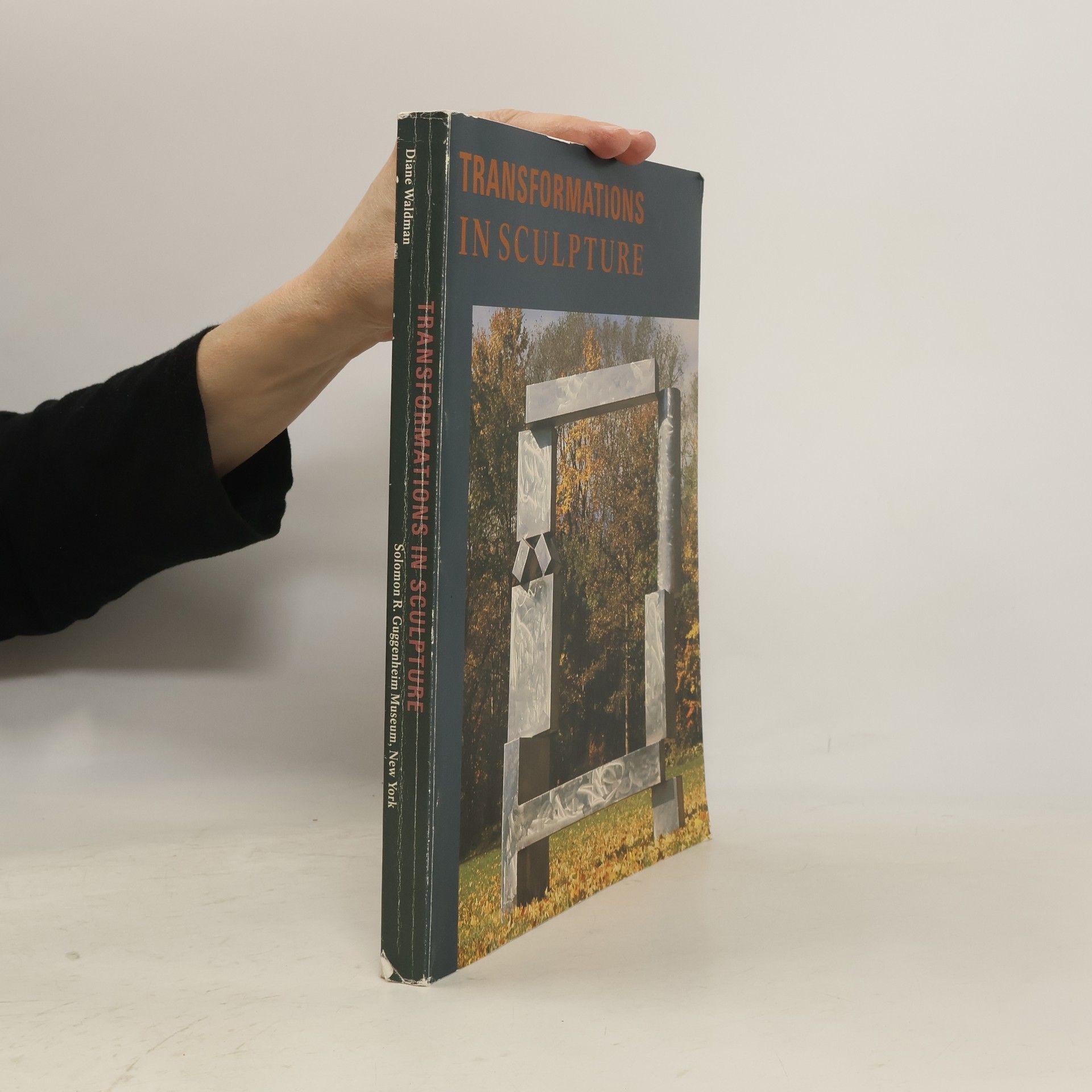 Diane Waldman Transformations in Sculpture