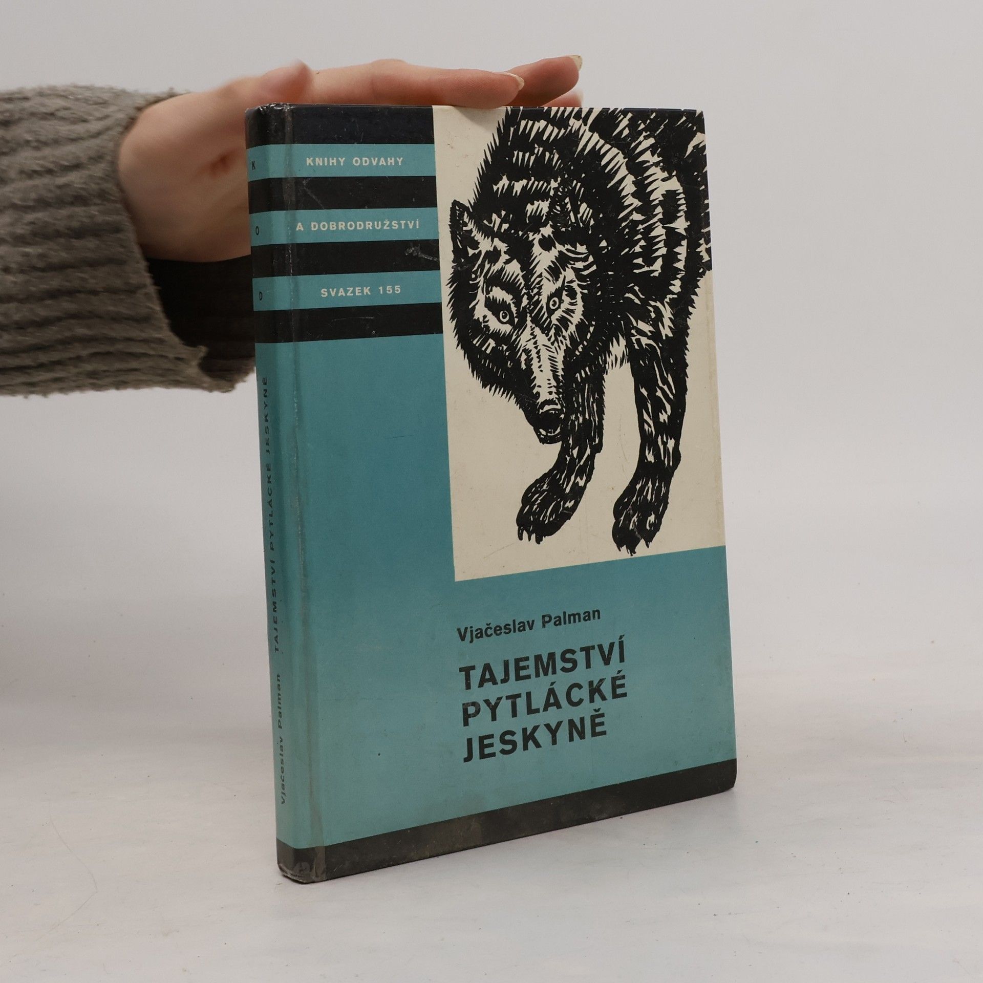 Vjačeslav Palman Tajemství pytlácké jeskyně
