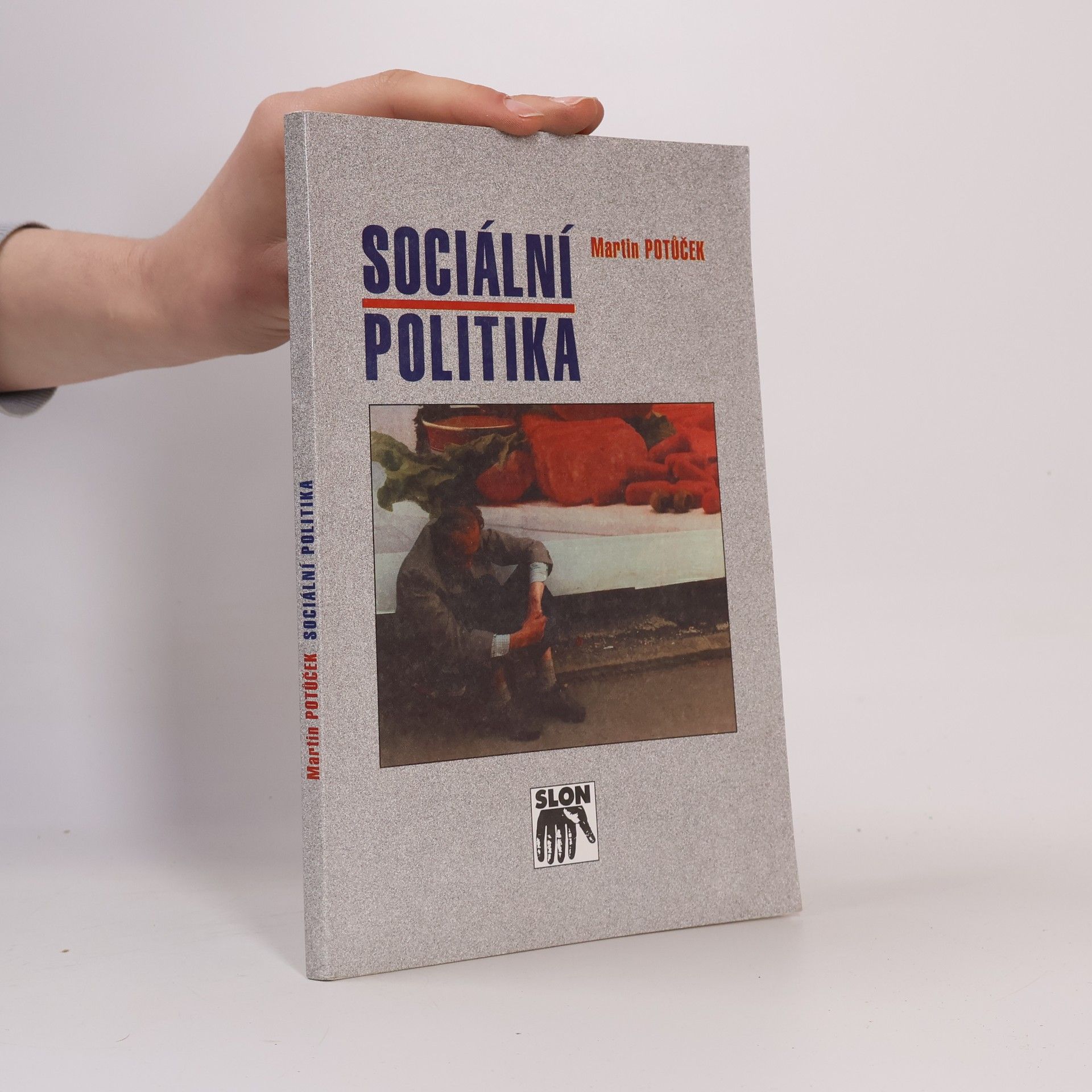 Martin Potůček Sociální politika