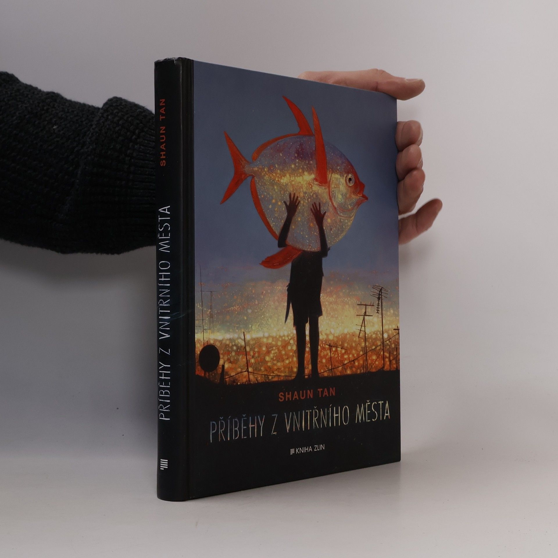 Shaun Tan Příběhy z vnitřního města