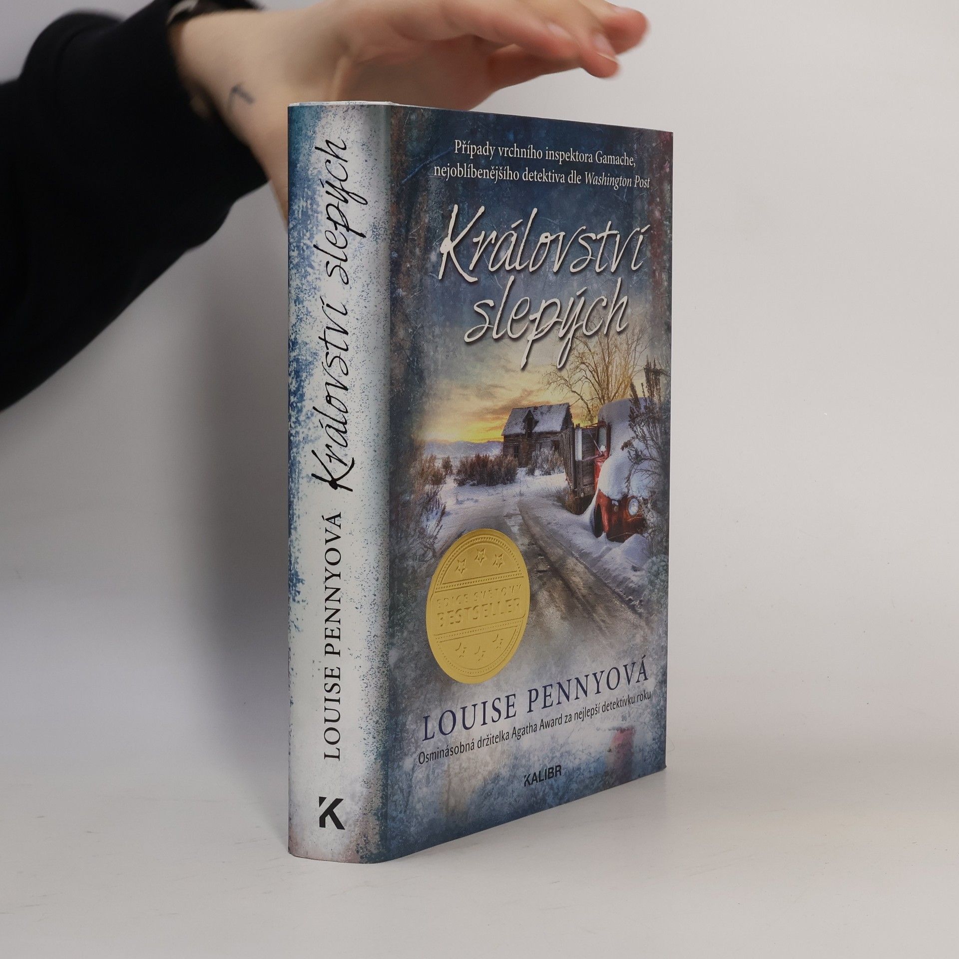 Louise Penny Království slepých