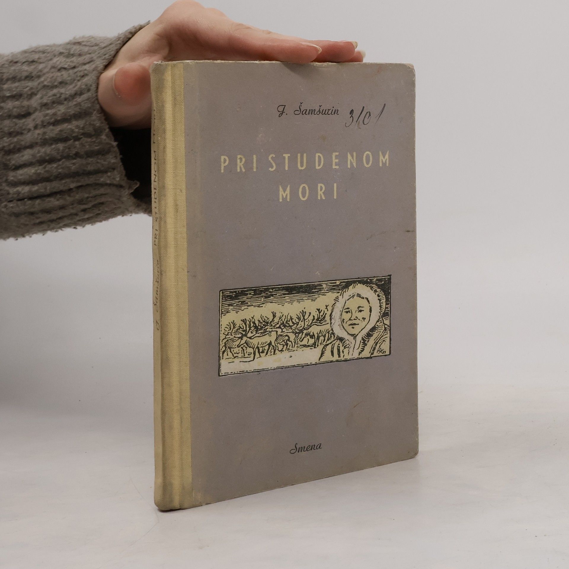 J. Šamšurin Pri studenom mori