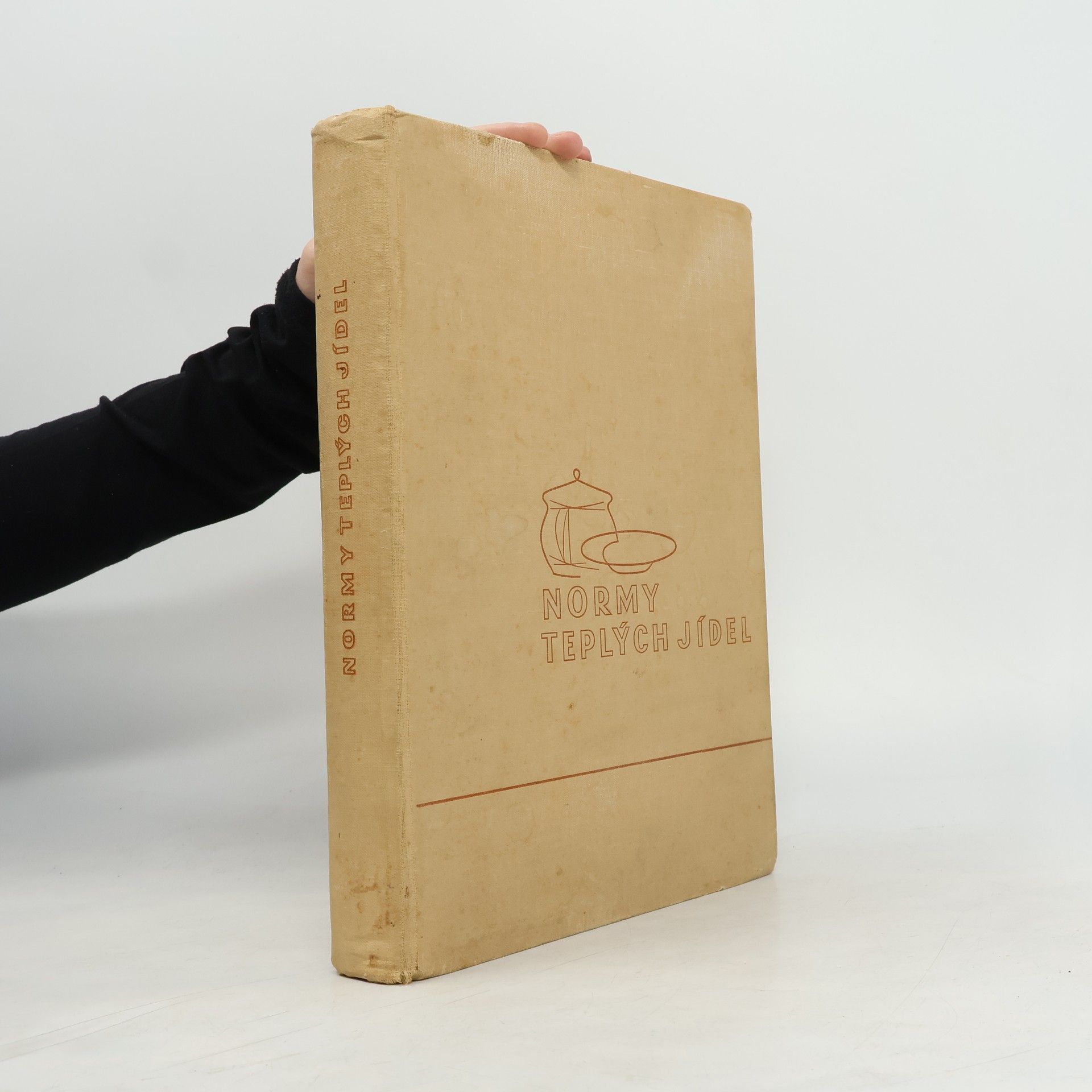 Autores varios Normy teplých jídel