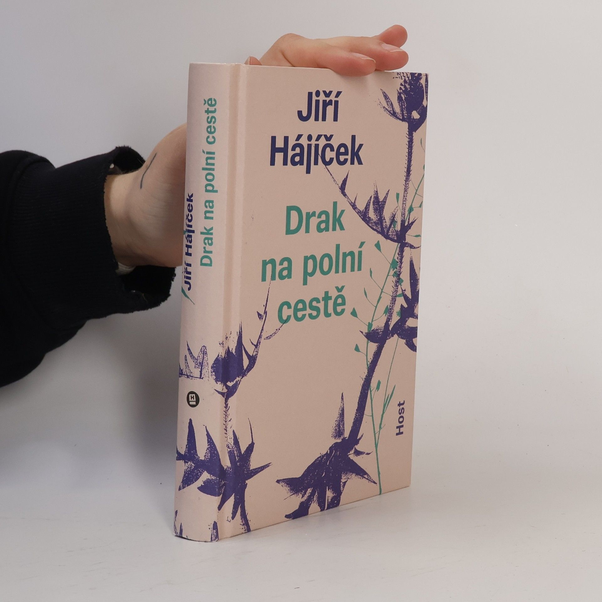 Jiří Hájíček Drak na polní cestě