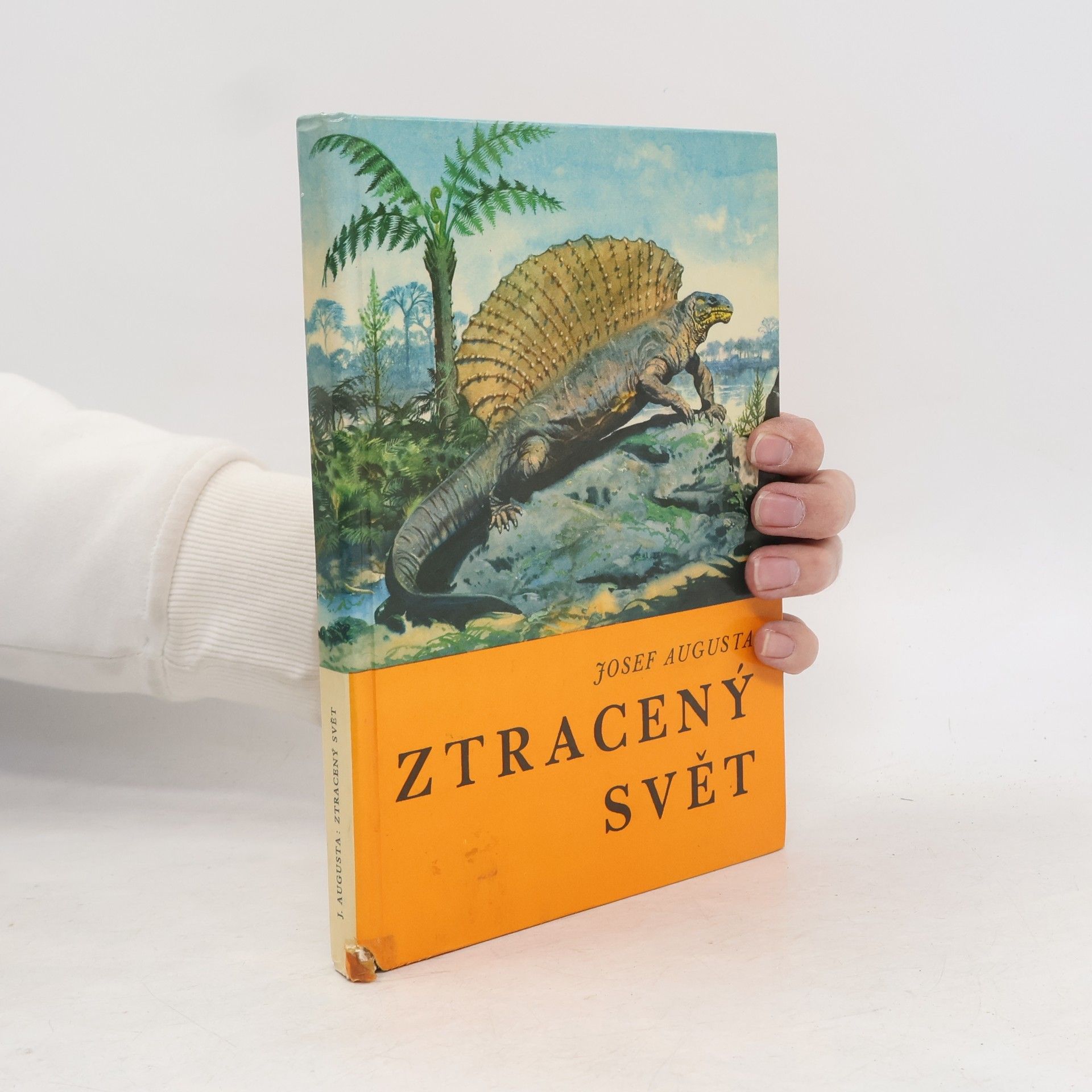 Ztracený svět