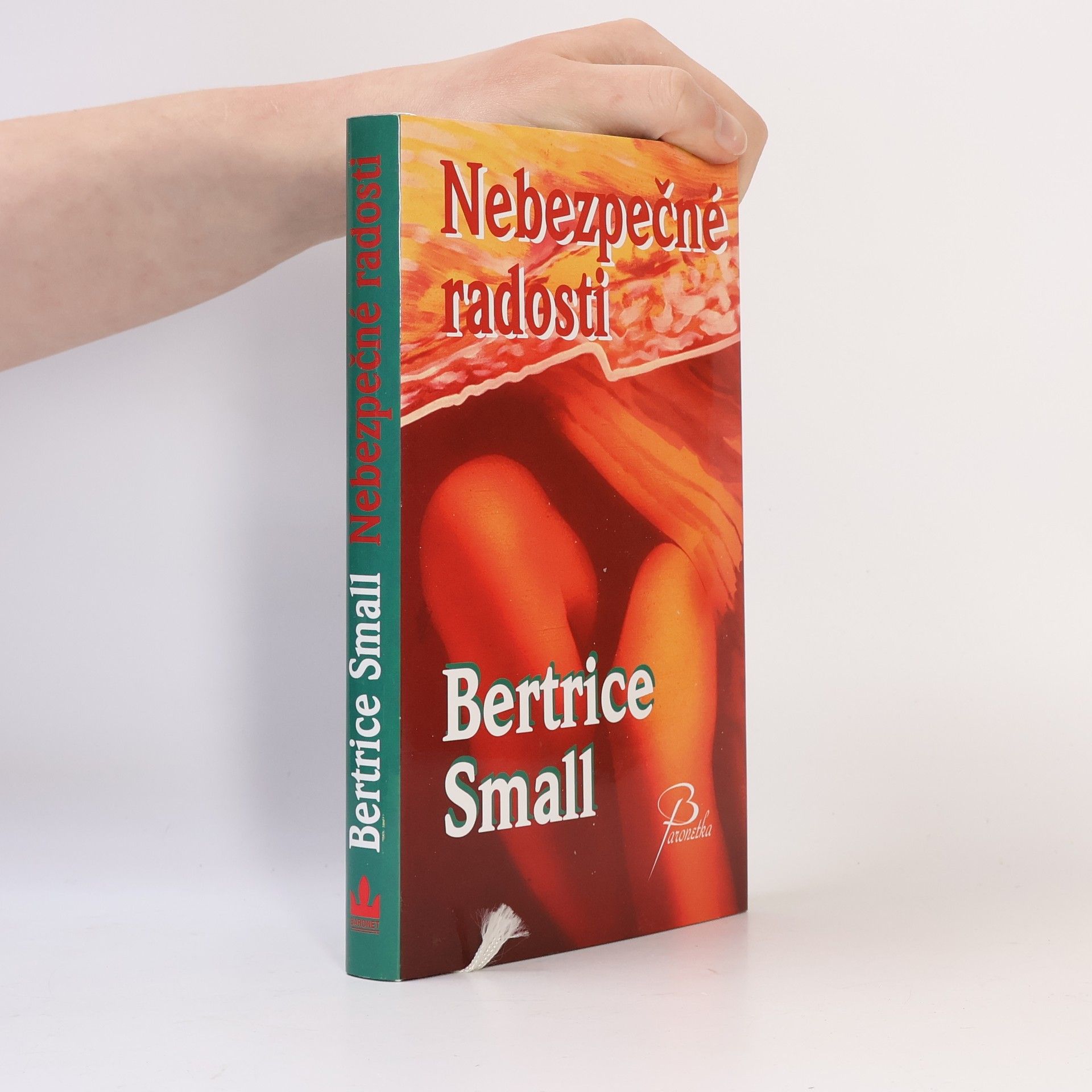 Bertrice Small Nebezpečné radosti