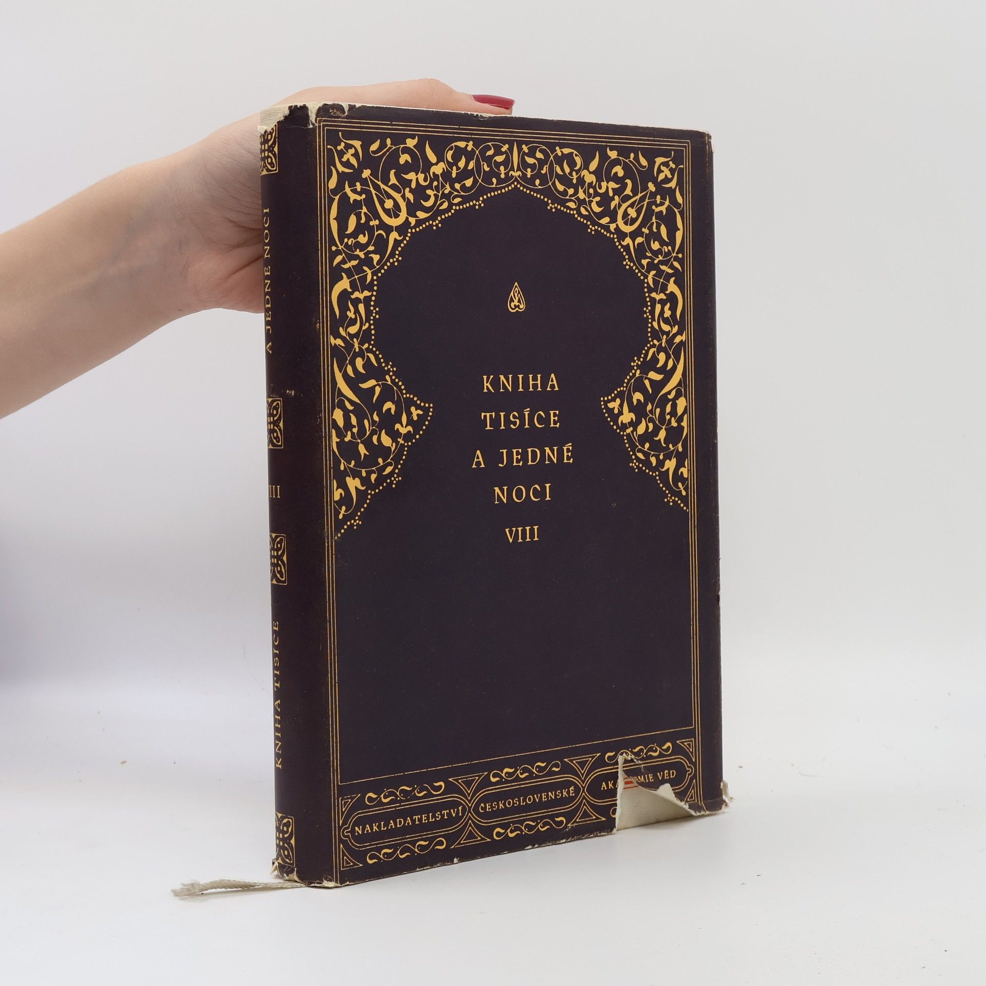 Felix Tauer Kniha tisíce a jedné noci VIII.