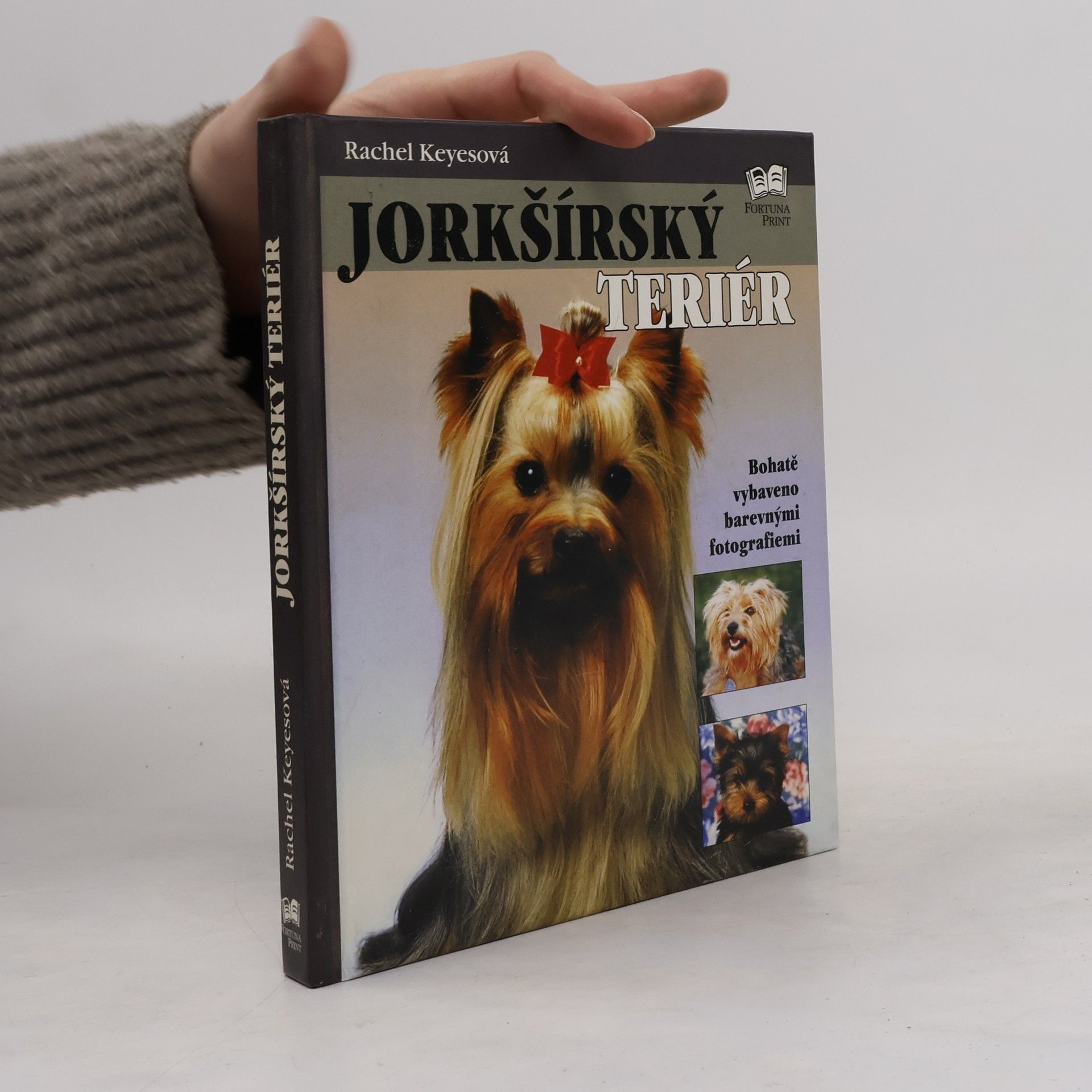 Rachel Keyes Jorkšírský teriér