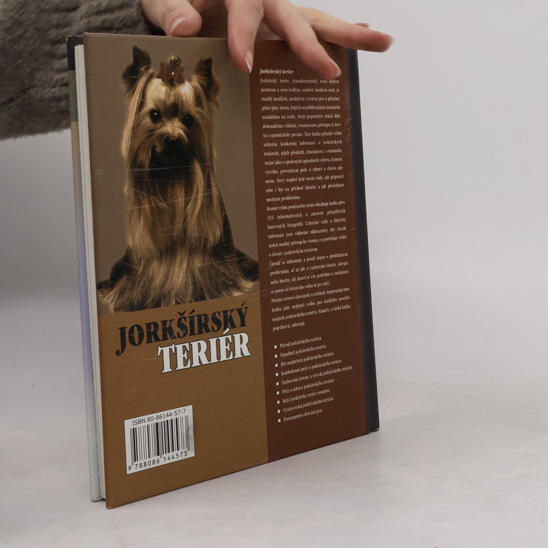 Rachel Keyes Jorkšírský teriér