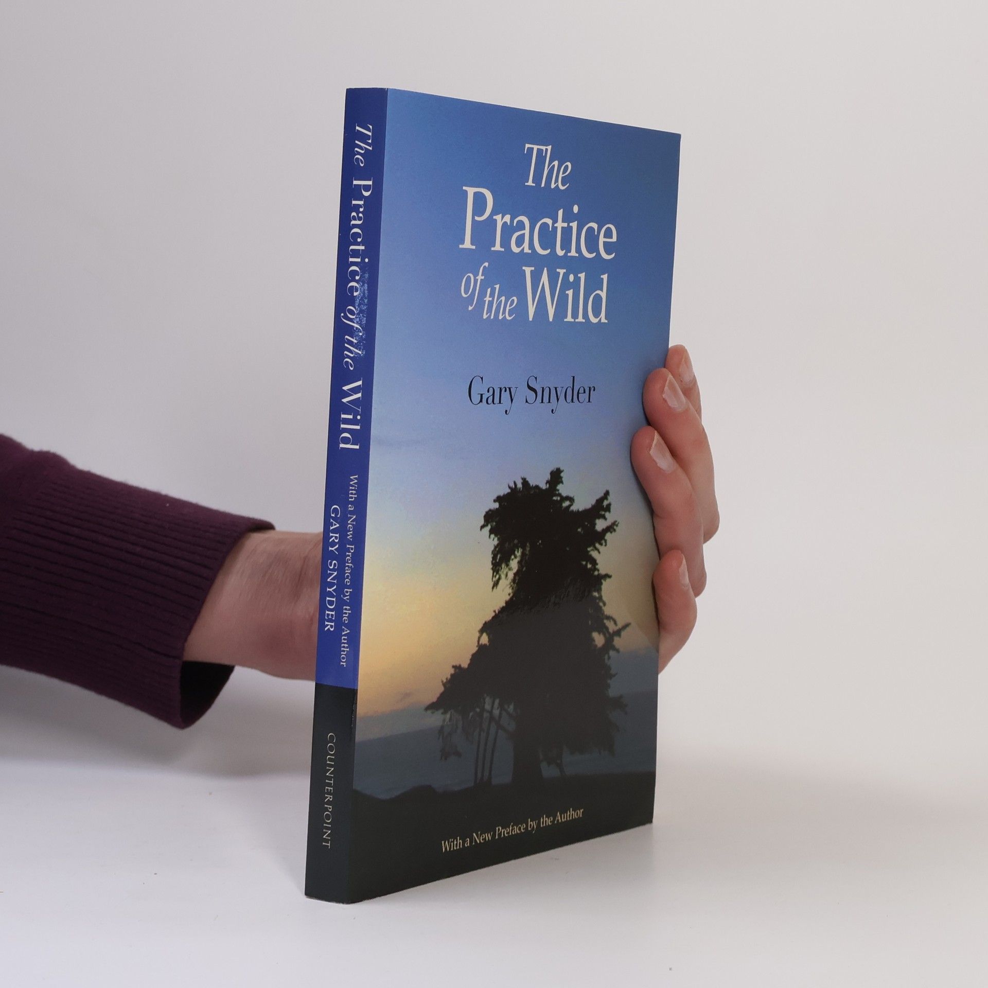 Gary Snyder The Practice of the Wild. Lektionen der Wildnis, englische Ausgabe - With a New Preface by the Author