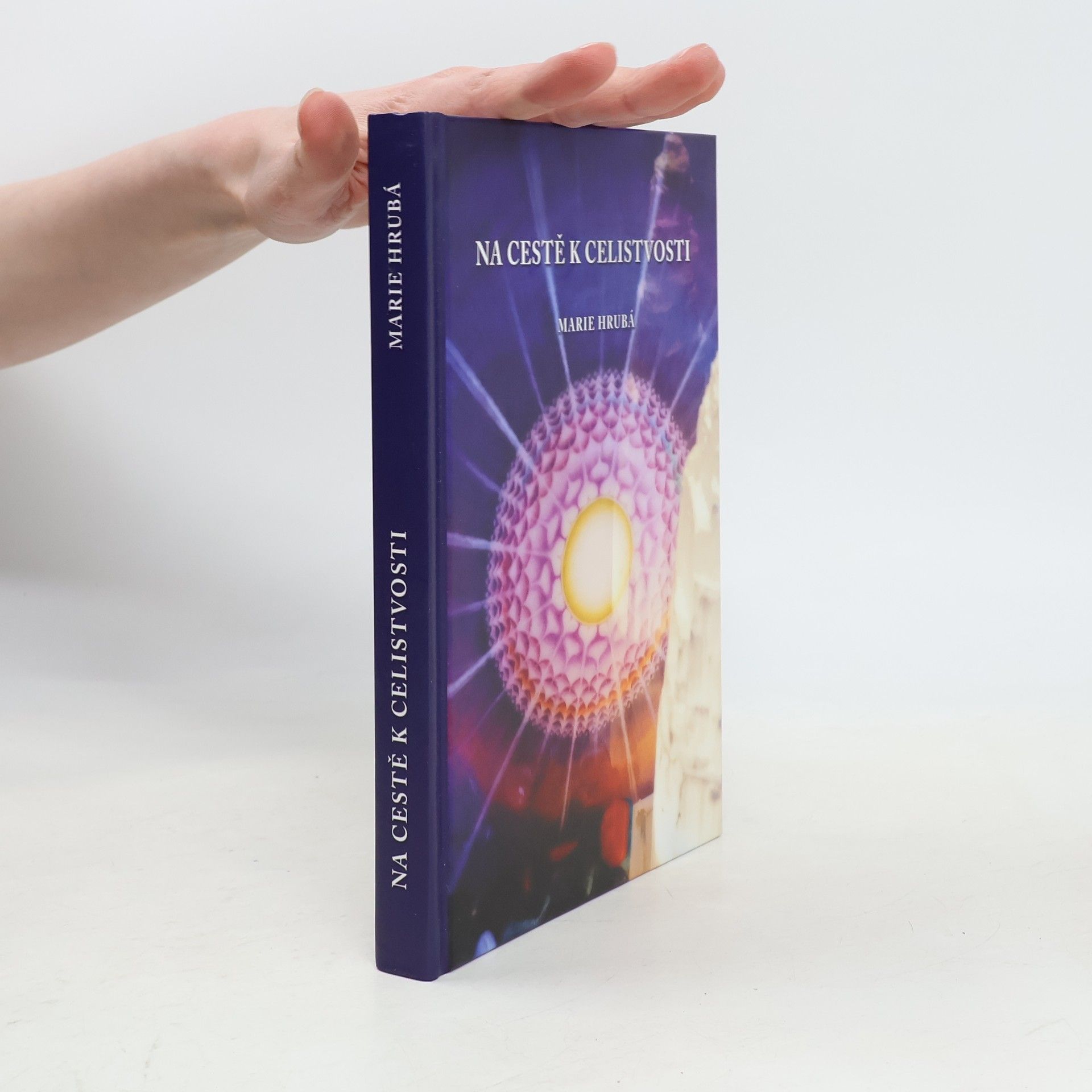 Na cestě k celistvosti