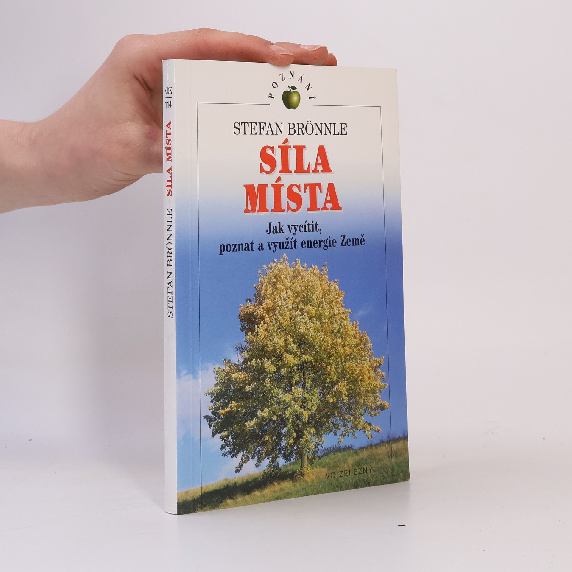 Síla místa: Jak vycítit, poznat a využít energie Země