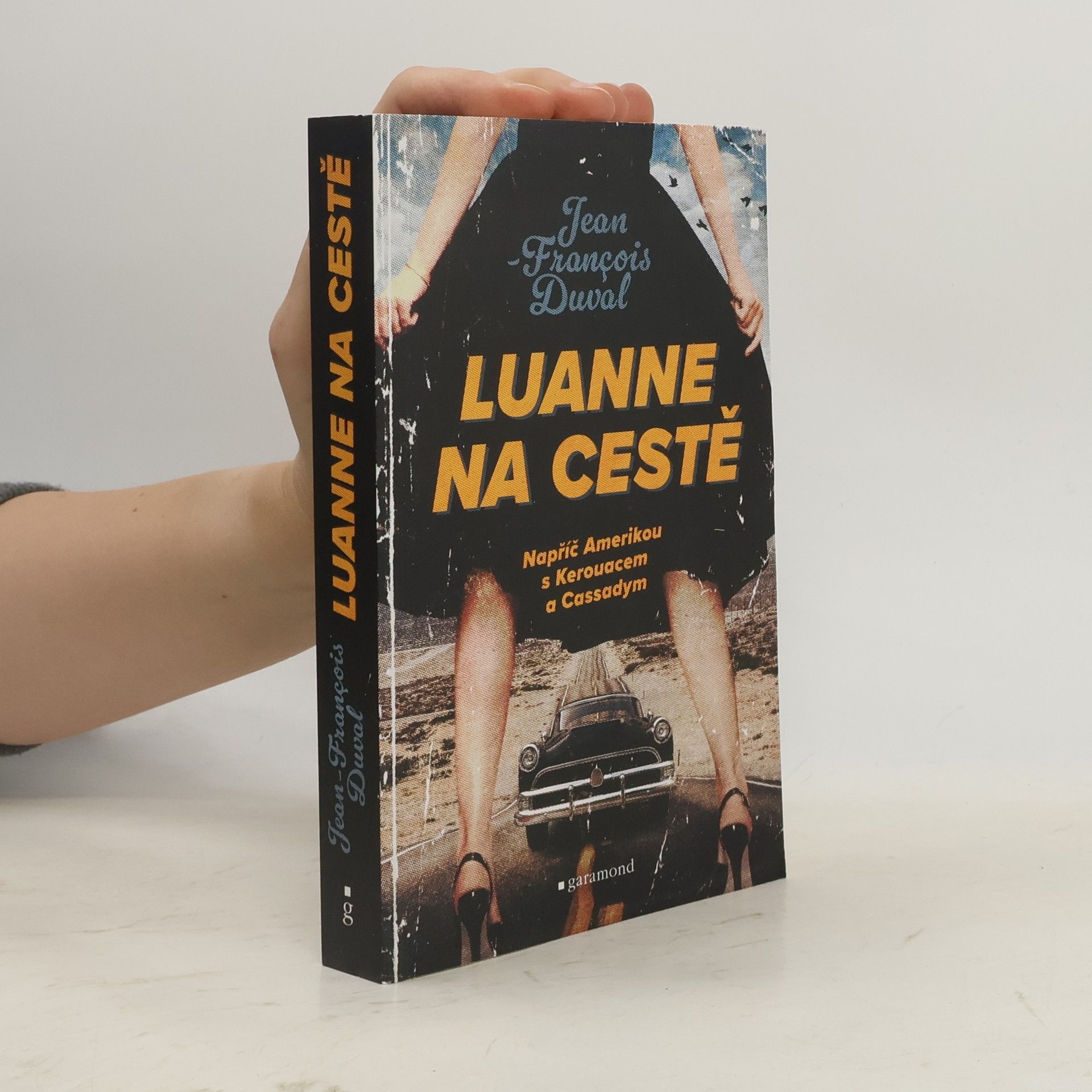 Tomáš Havel LuAnne na cestě : napříč Amerikou s Kerouacem a Cassadym