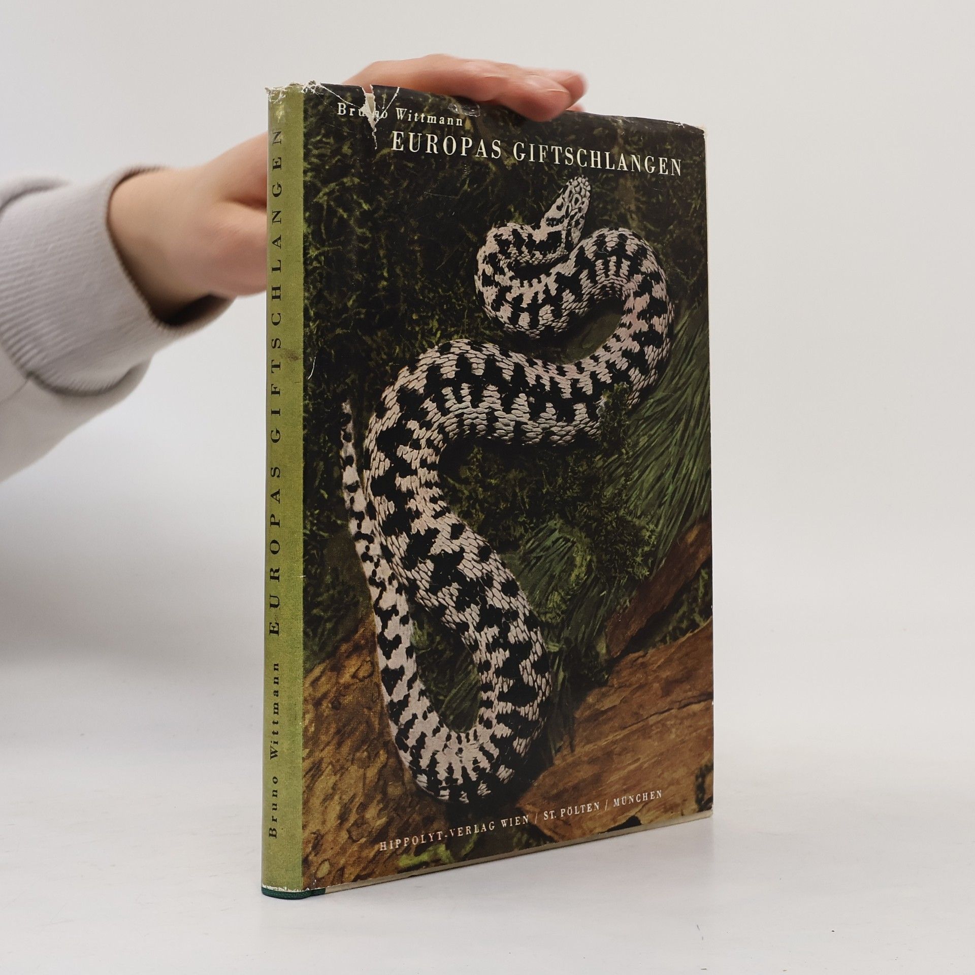 Bruno Wittmann Europas Giftschlangen