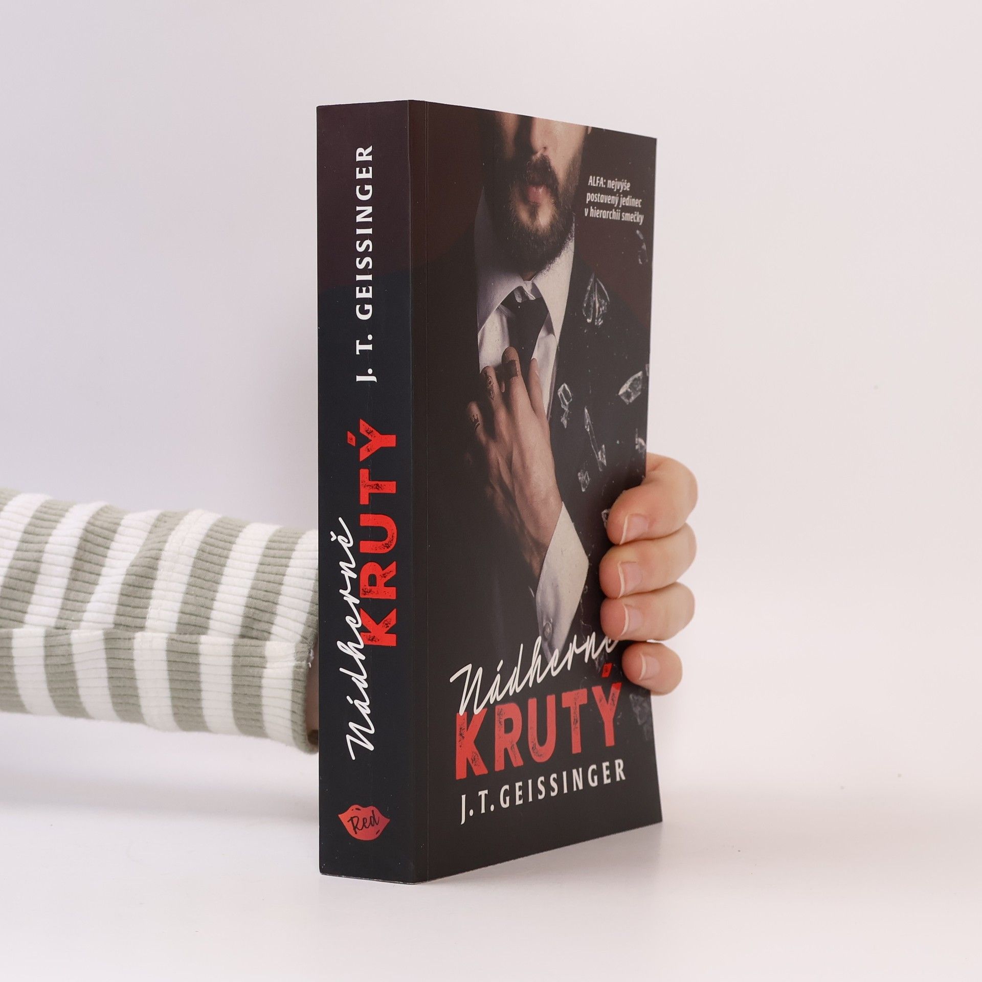 J. T. Geissinger Nádherně krutý