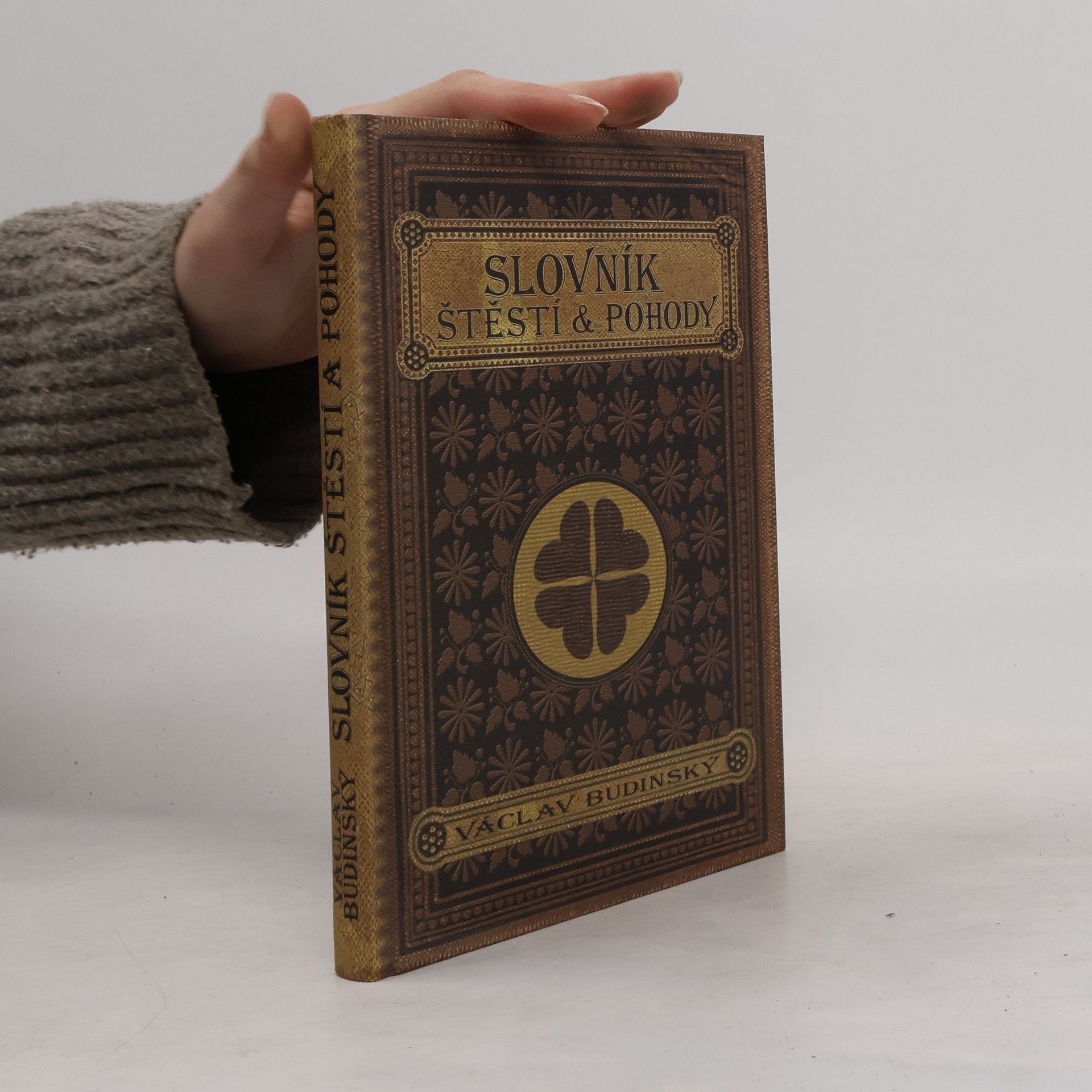 Václav Budinský Slovník štěstí & pohody