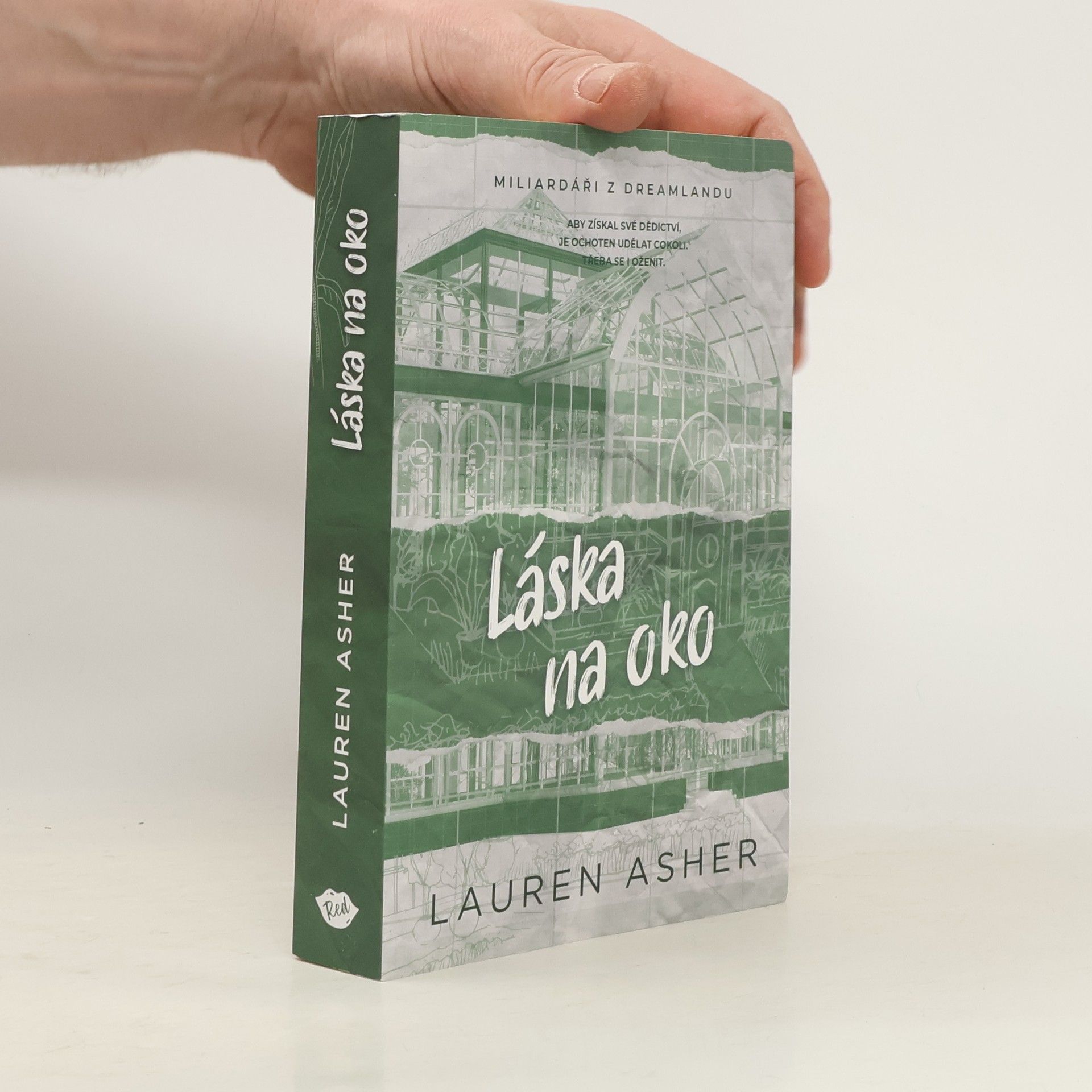 Lauren Asher Láska na oko